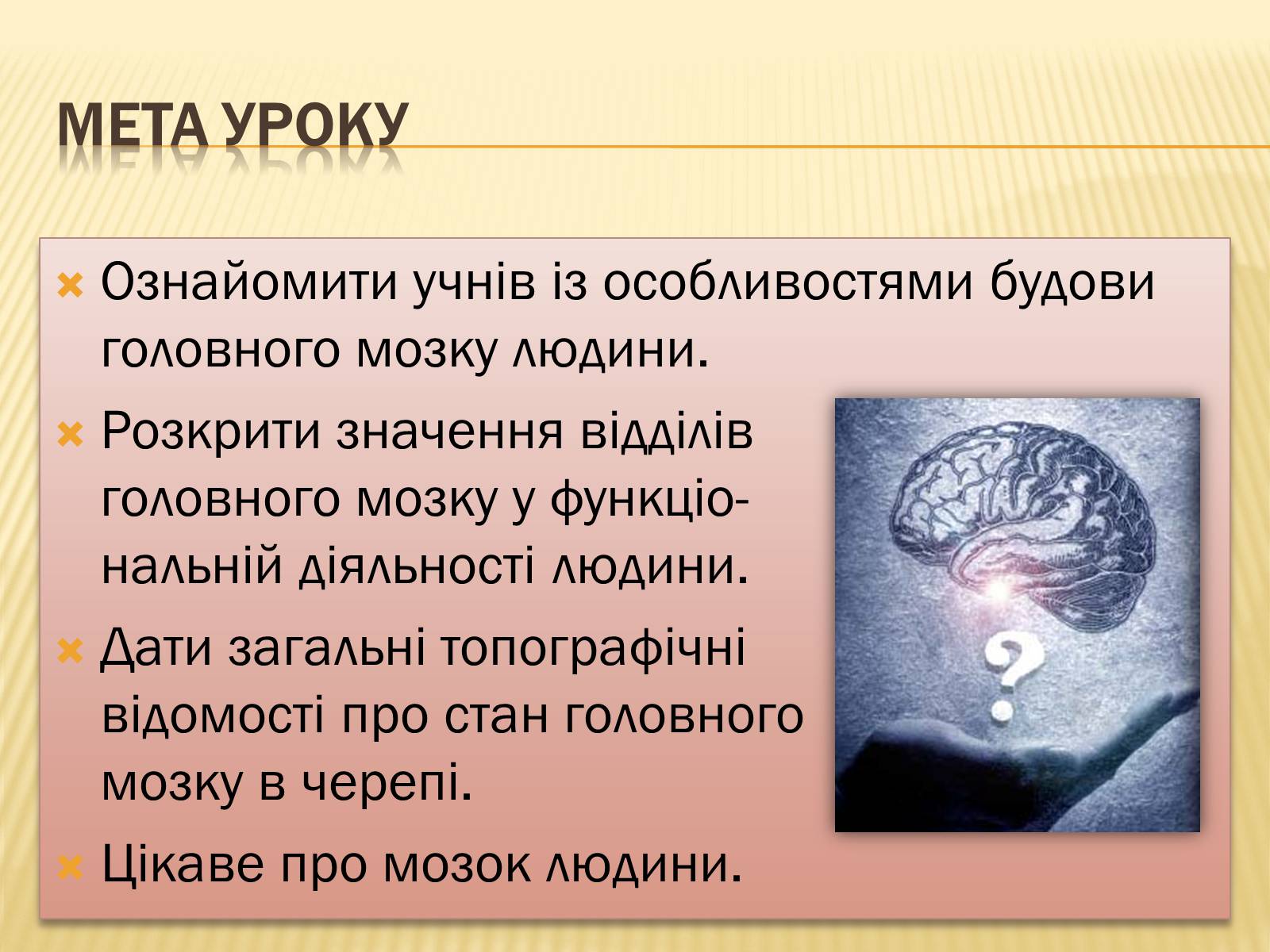 Презентація на тему «Головний мозок» (варіант 1) - Слайд #2 Презентація на тему «Головний мозок» (варіант 1) - Слайд #2
