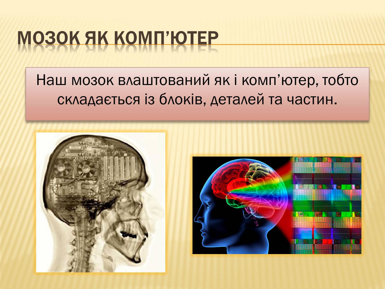 Презентація на тему «Головний мозок» (варіант 1) - Слайд #33 Презентація на тему «Головний мозок» (варіант 1) - Слайд #33