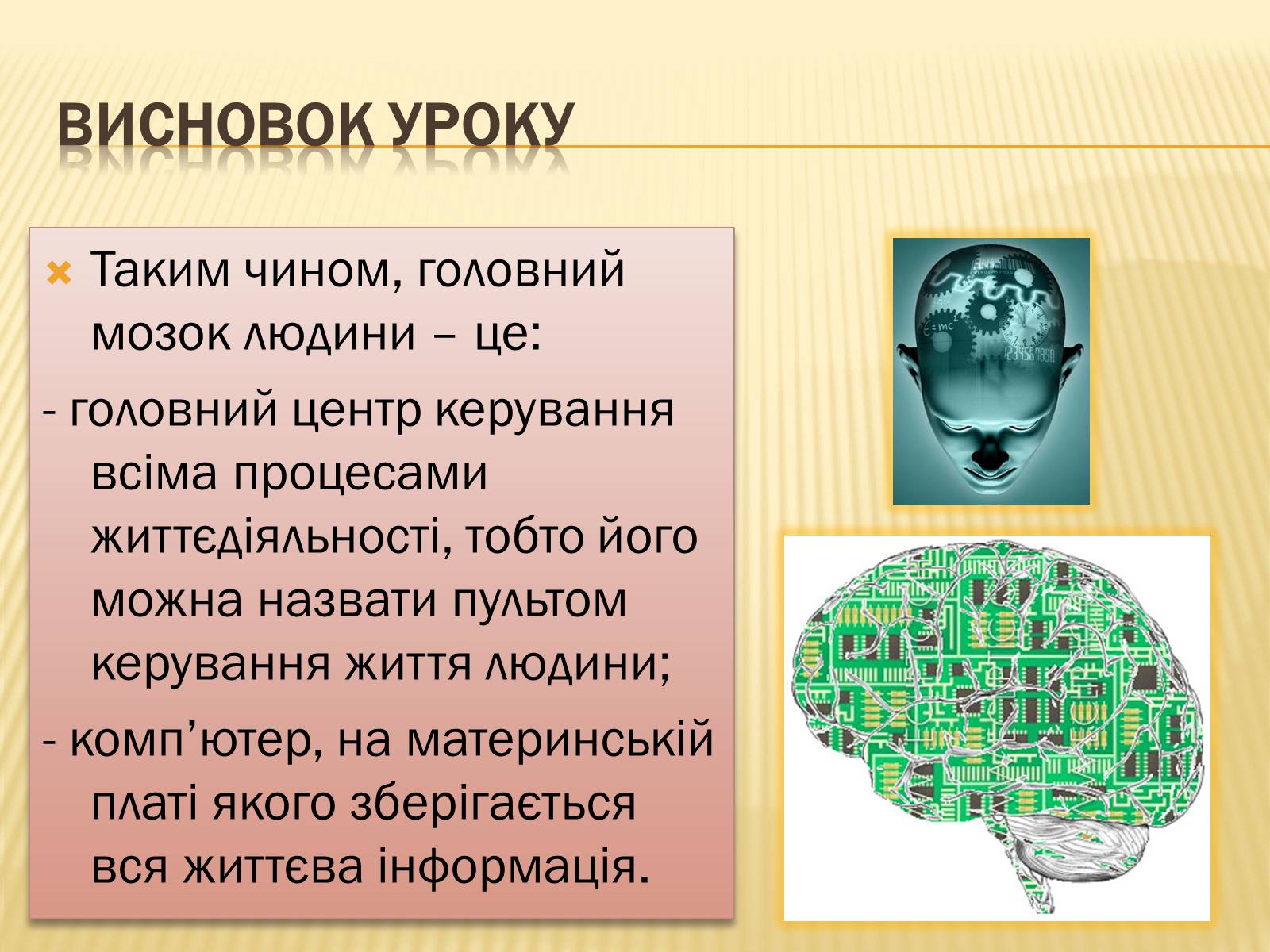 Презентація на тему «Головний мозок» (варіант 1) - Слайд #37 Презентація на тему «Головний мозок» (варіант 1) - Слайд #37