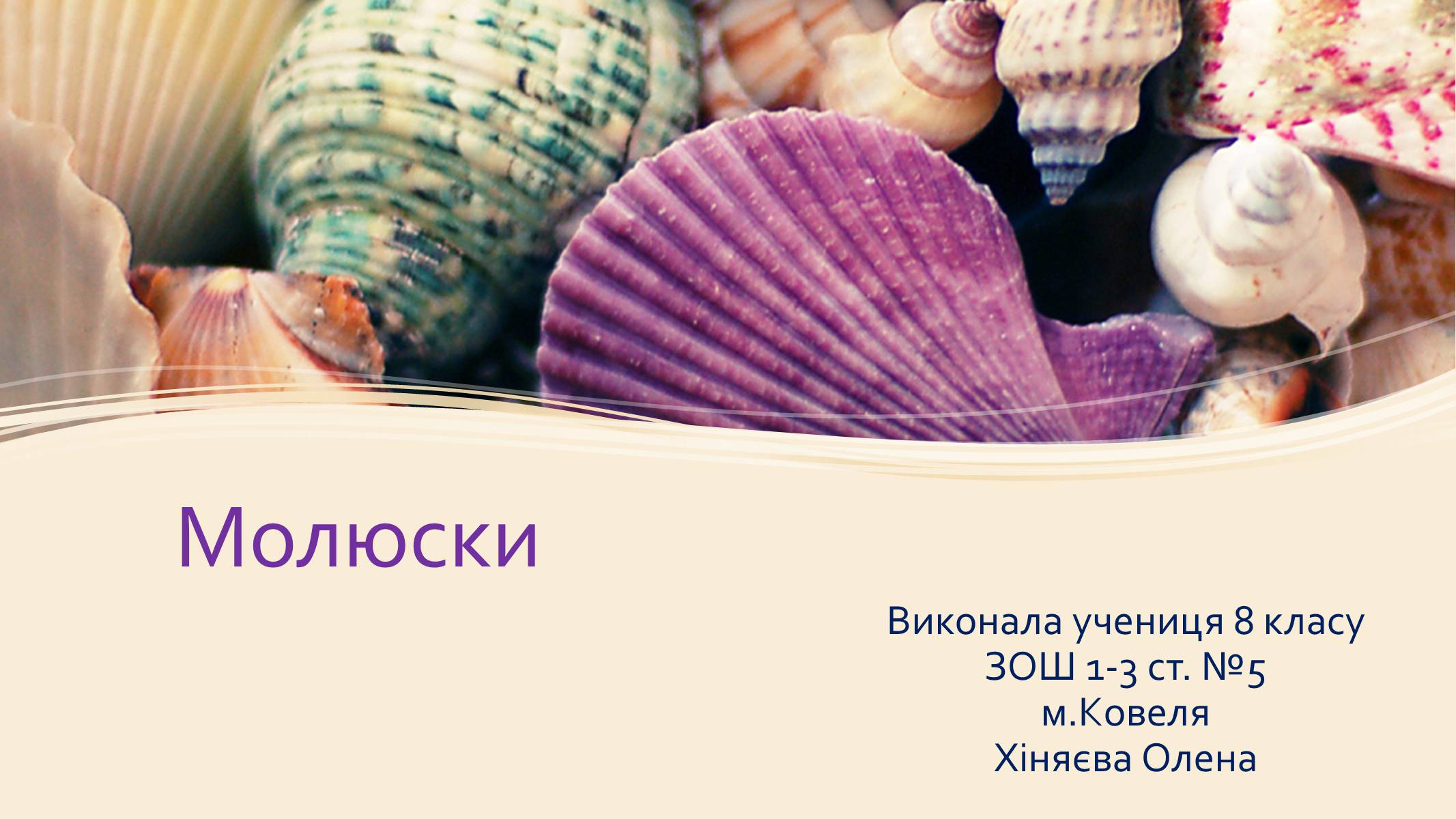 Презентація на тему «Молюски» (варіант 1) - Слайд #1 Презентація на тему «Молюски» (варіант 1) - Слайд #1