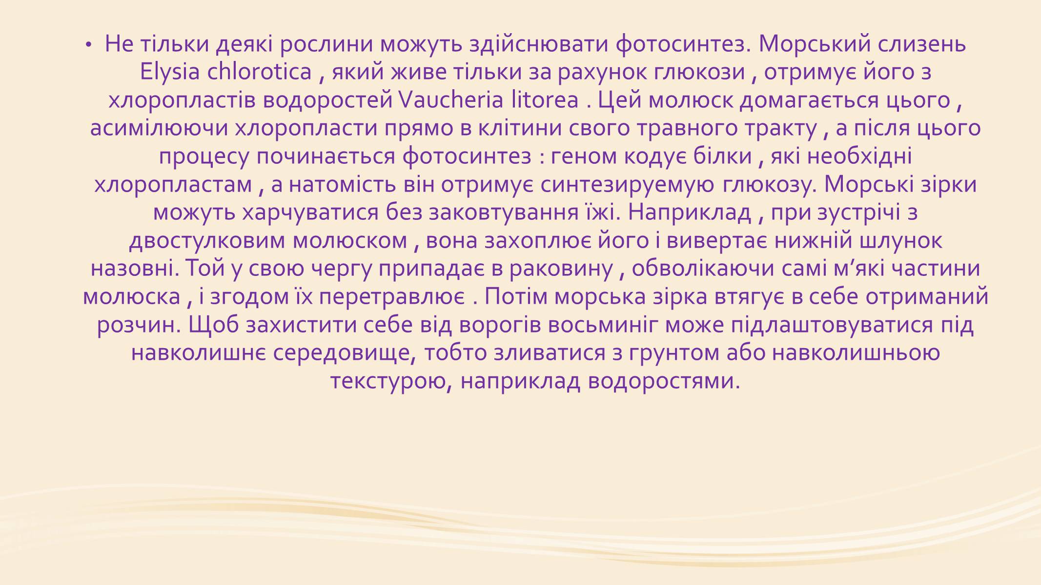 Презентація на тему «Молюски» (варіант 1) - Слайд #11 Презентація на тему «Молюски» (варіант 1) - Слайд #11