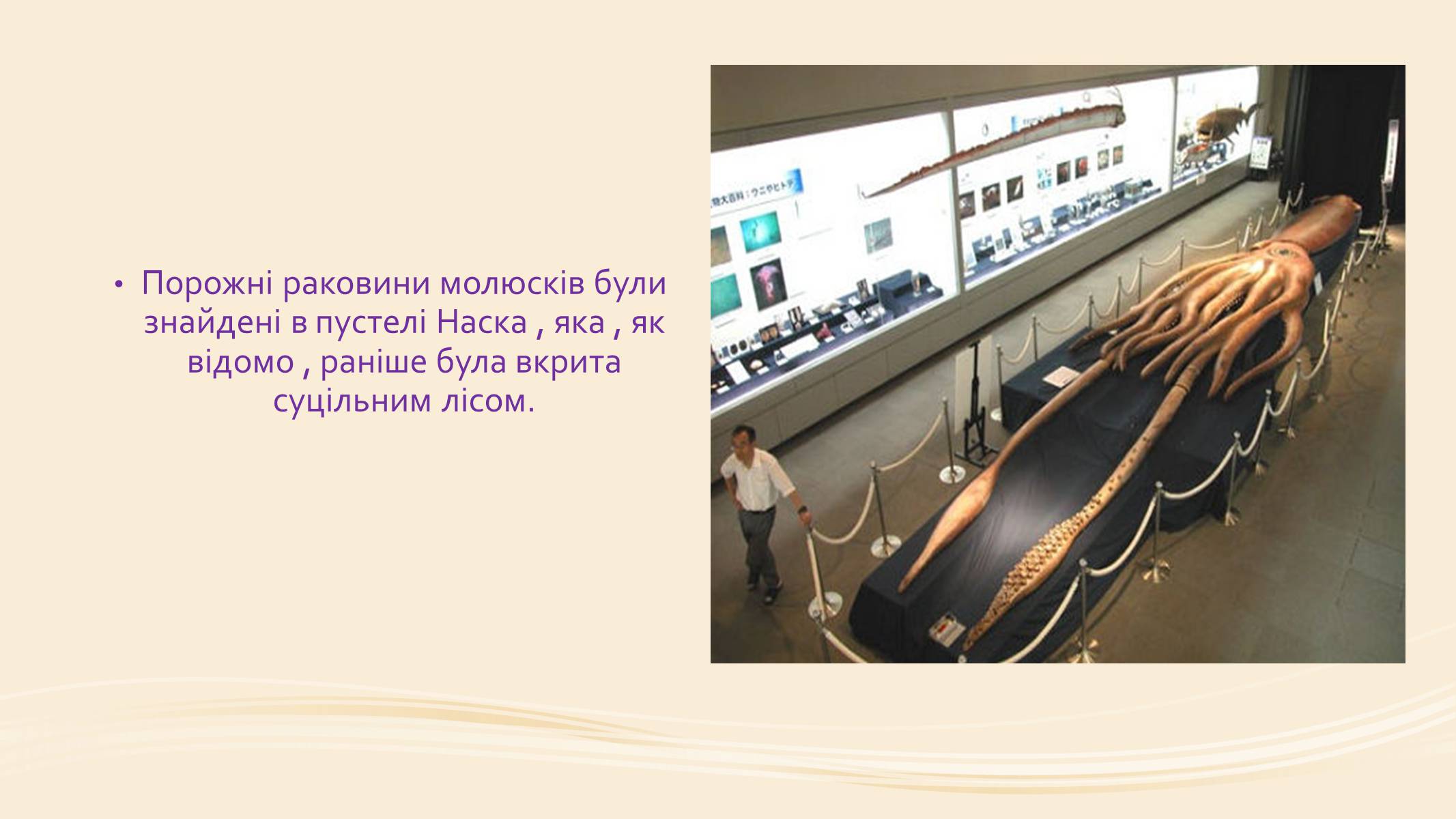 Презентація на тему «Молюски» (варіант 1) - Слайд #7 Презентація на тему «Молюски» (варіант 1) - Слайд #7