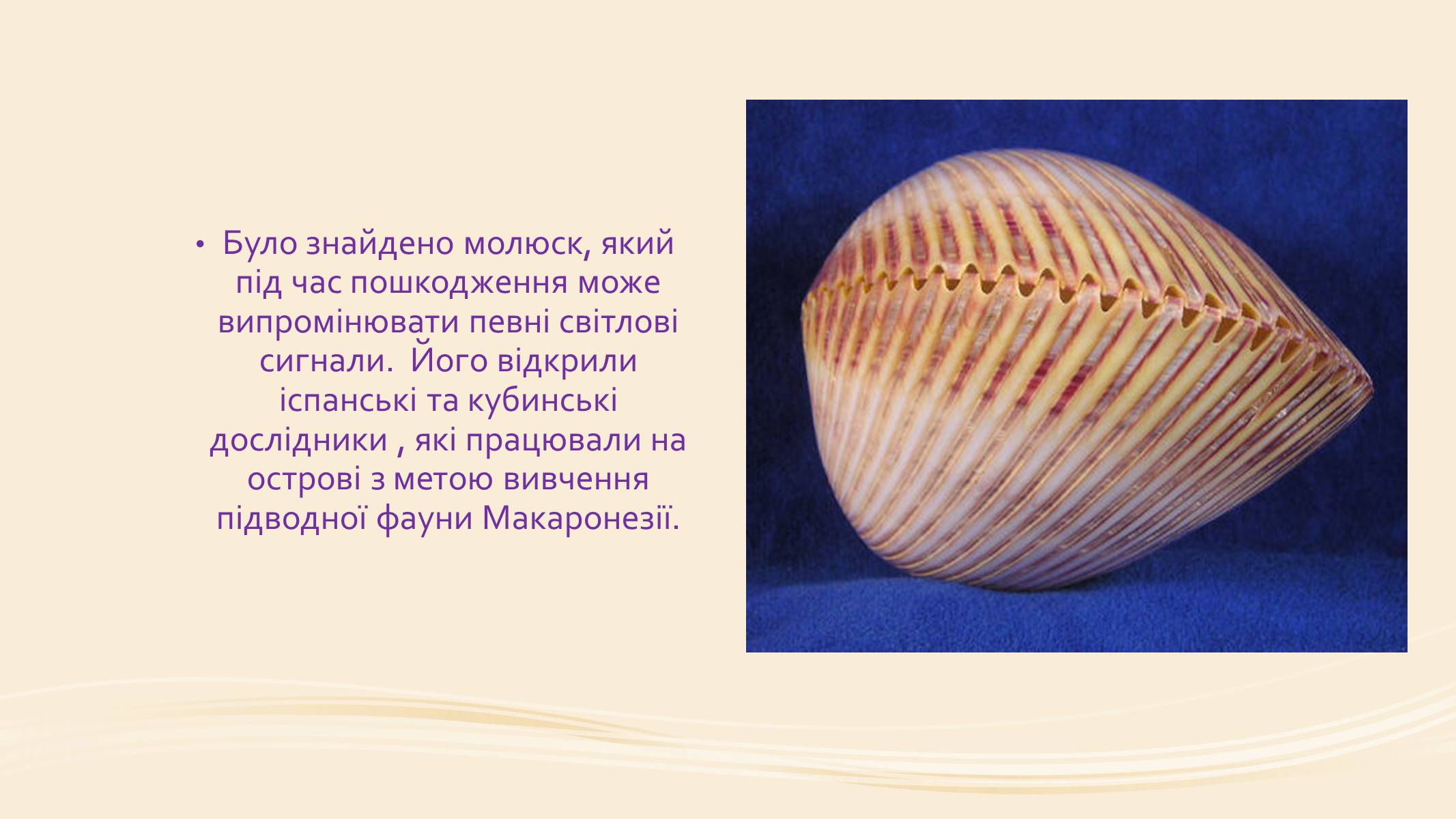 Презентація на тему «Молюски» (варіант 1) - Слайд #8 Презентація на тему «Молюски» (варіант 1) - Слайд #8