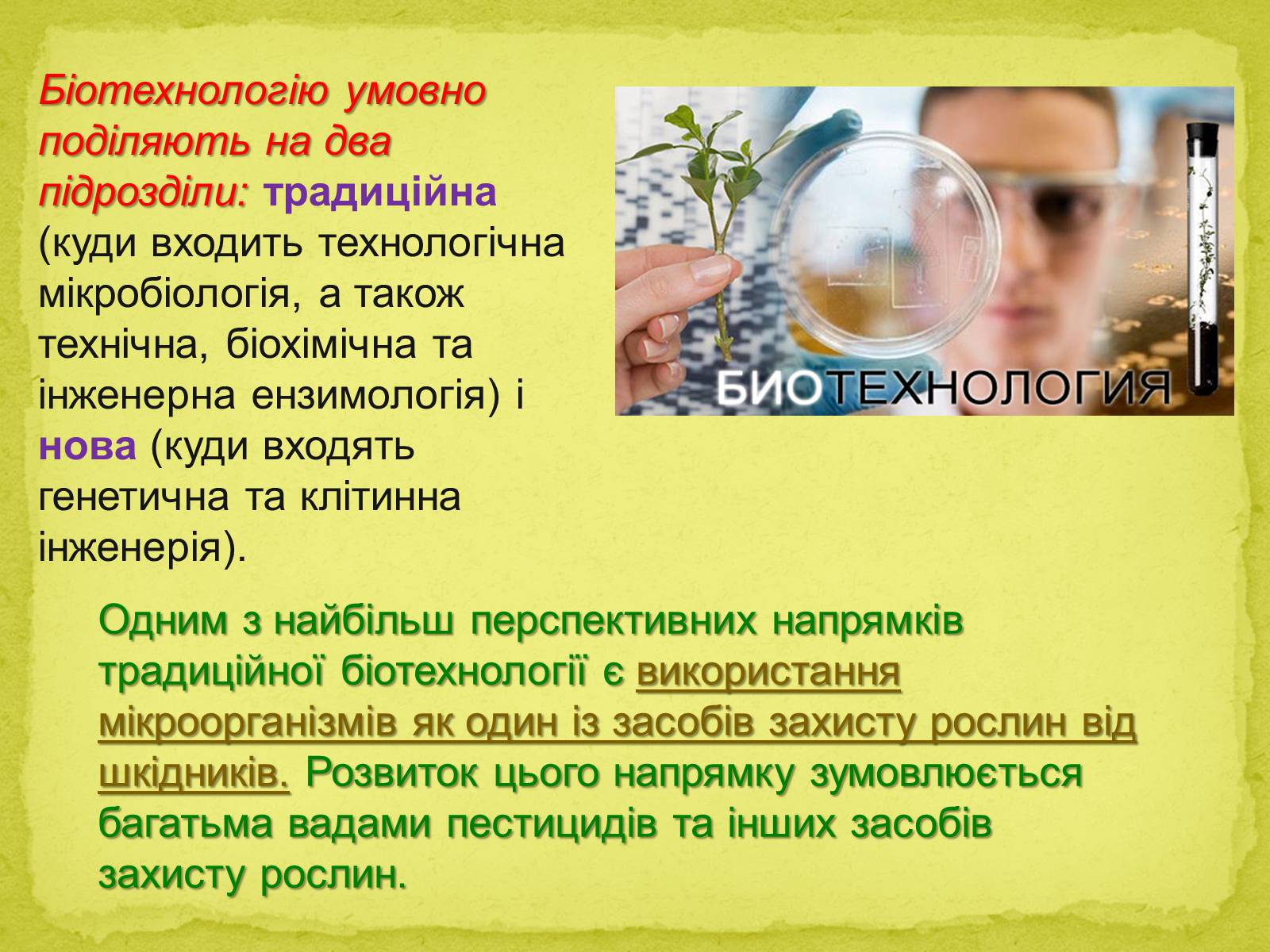 Презентація на тему «Основні напрямки сучасної біотехнології» (варіант 1) - Слайд #4 Презентація на тему «Основні напрямки сучасної біотехнології» (варіант 1) - Слайд #4