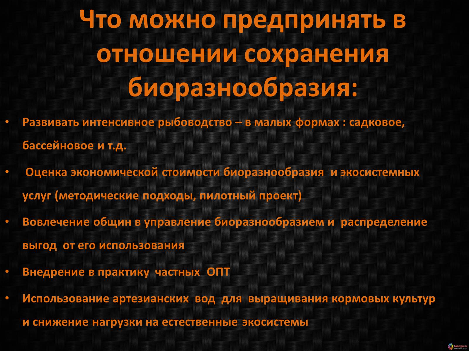 Презентація на тему «Генетическое видовое и экосистемное биоразнообразие» - Слайд #10 Презентація на тему «Генетическое видовое и экосистемное биоразнообразие» - Слайд #10