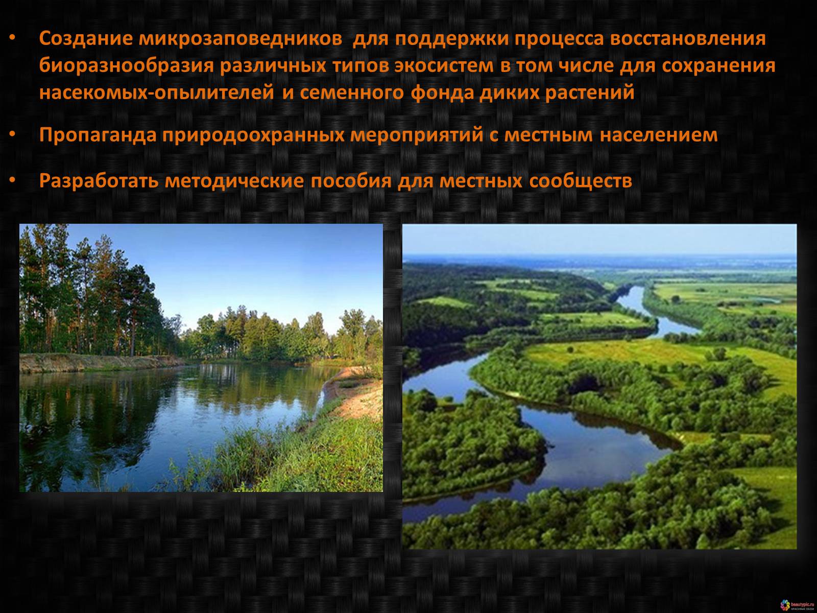 Презентація на тему «Генетическое видовое и экосистемное биоразнообразие» - Слайд #11 Презентація на тему «Генетическое видовое и экосистемное биоразнообразие» - Слайд #11