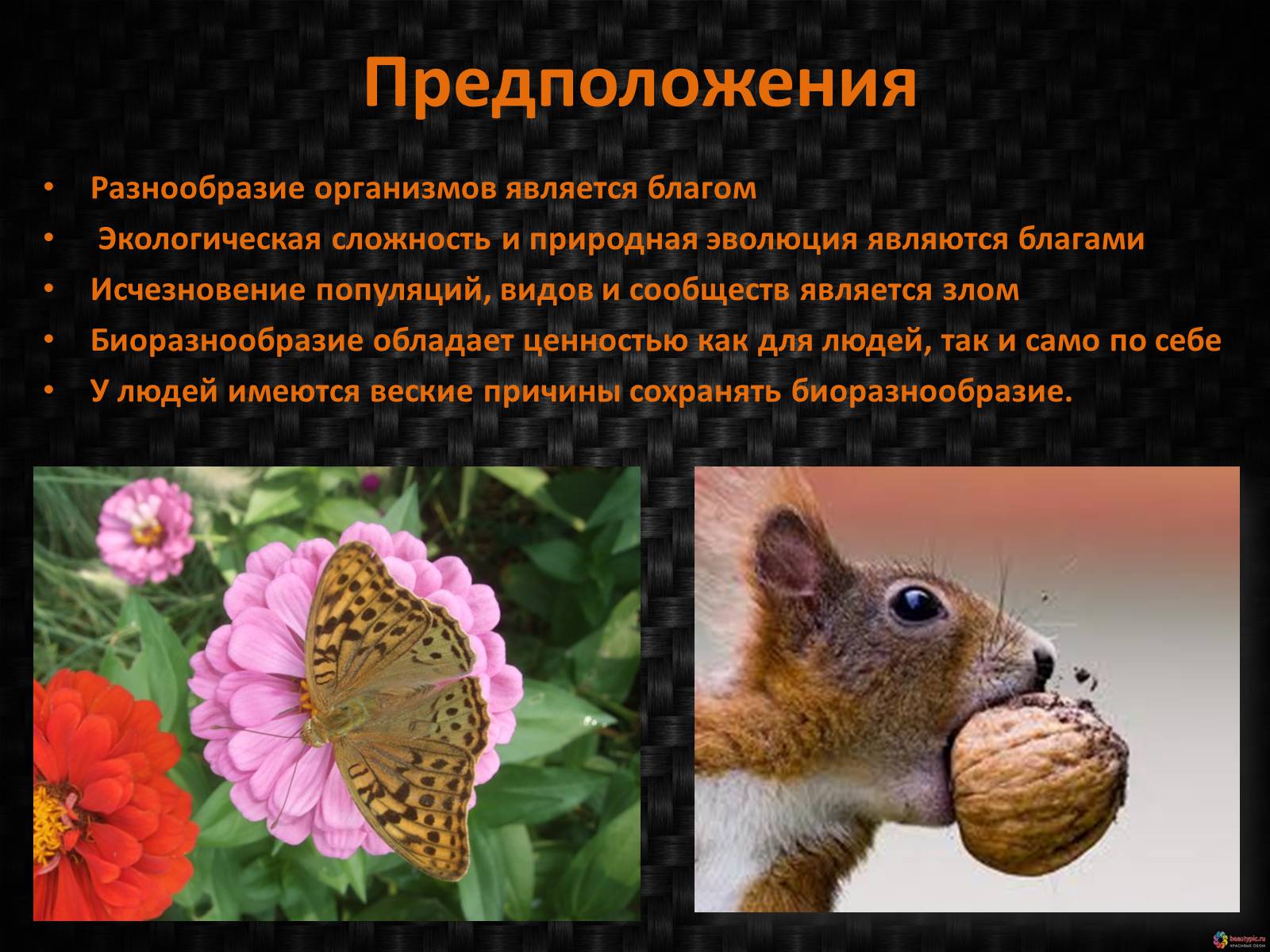 Презентація на тему «Генетическое видовое и экосистемное биоразнообразие» - Слайд #14 Презентація на тему «Генетическое видовое и экосистемное биоразнообразие» - Слайд #14