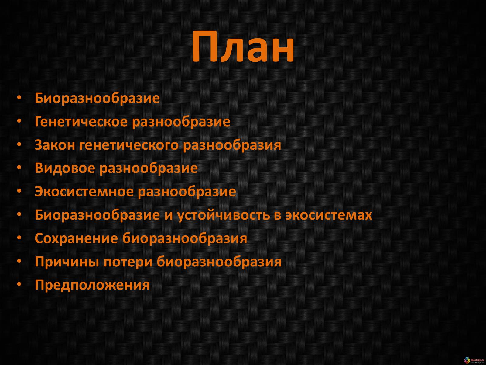 Презентація на тему «Генетическое видовое и экосистемное биоразнообразие» - Слайд #2 Презентація на тему «Генетическое видовое и экосистемное биоразнообразие» - Слайд #2