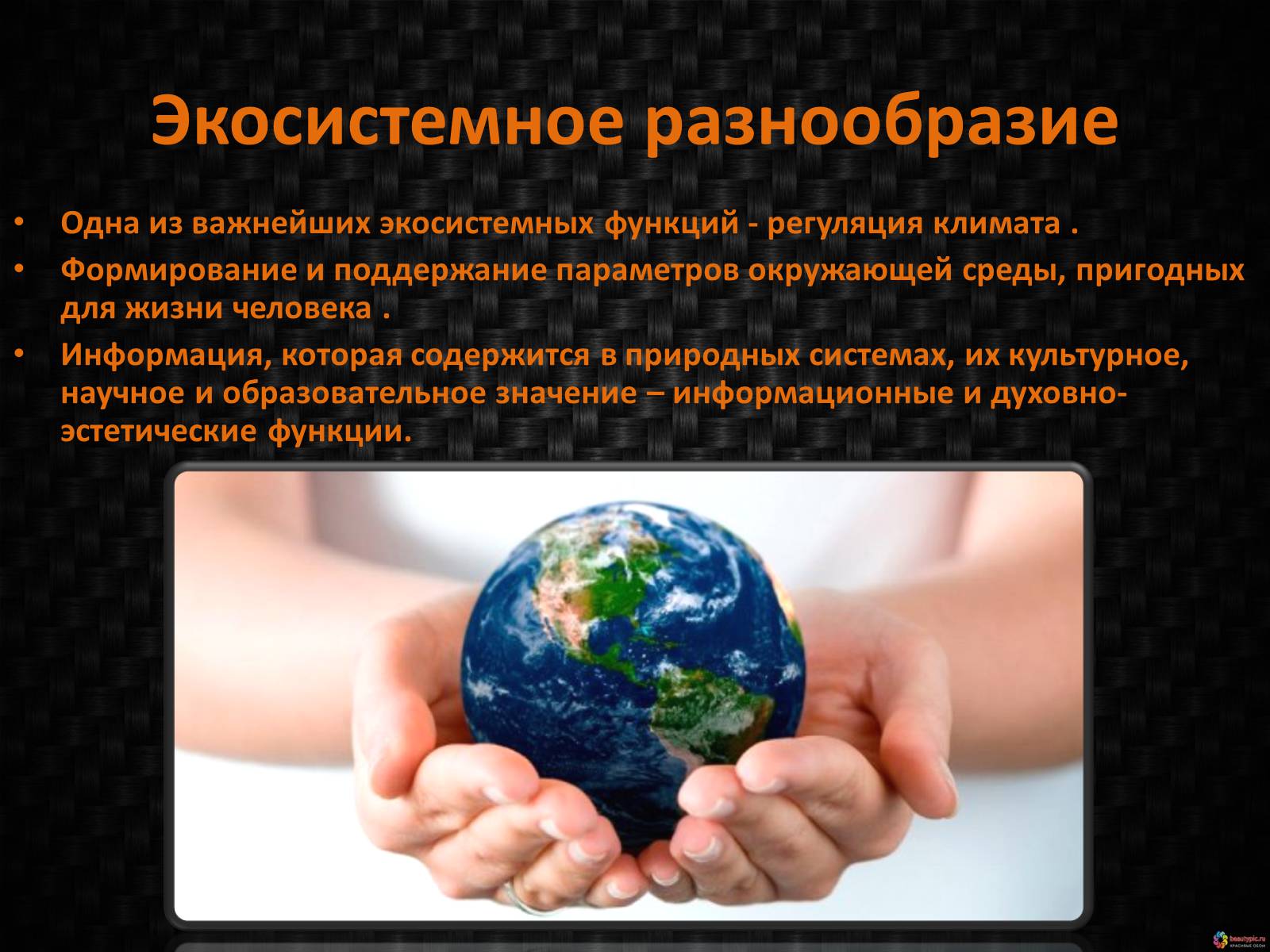 Презентація на тему «Генетическое видовое и экосистемное биоразнообразие» - Слайд #7 Презентація на тему «Генетическое видовое и экосистемное биоразнообразие» - Слайд #7