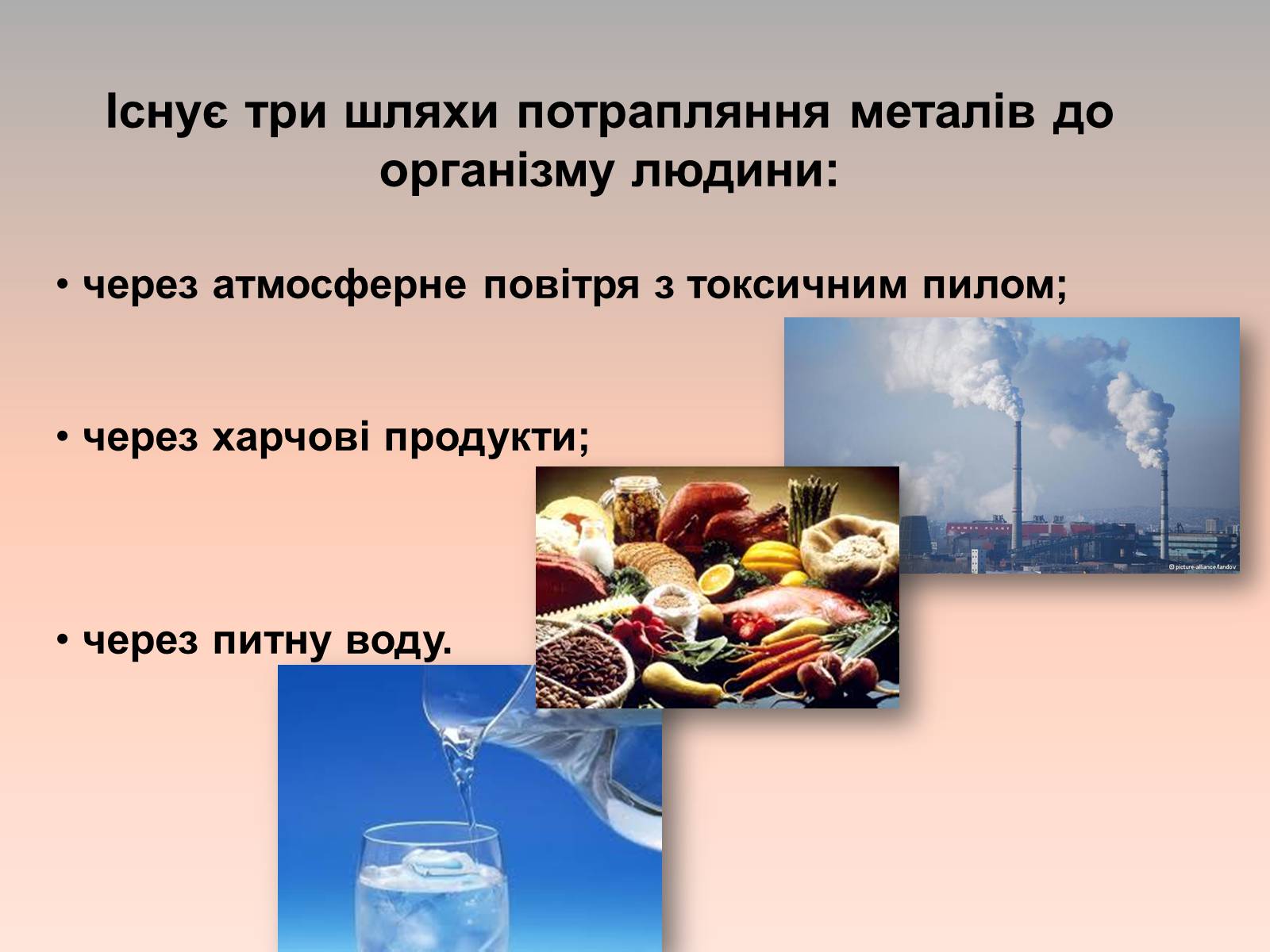Презентація на тему «Вплив металів на організм людини» - Слайд #2 Презентація на тему «Вплив металів на організм людини» - Слайд #2