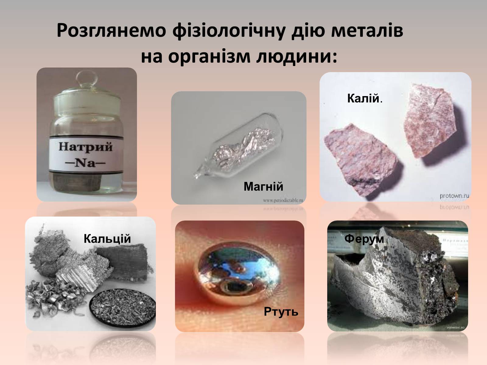 Презентація на тему «Вплив металів на організм людини» - Слайд #3 Презентація на тему «Вплив металів на організм людини» - Слайд #3