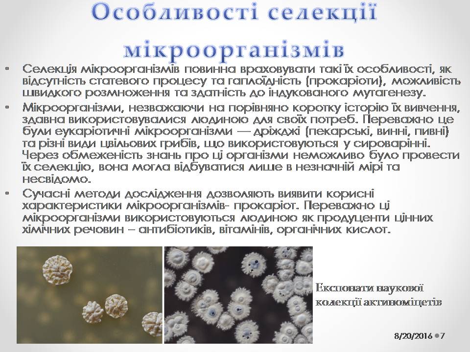 Презентація на тему «Генетичні основи селекції організмів» (варіант 2) - Слайд #7 Презентація на тему «Генетичні основи селекції організмів» (варіант 2) - Слайд #7