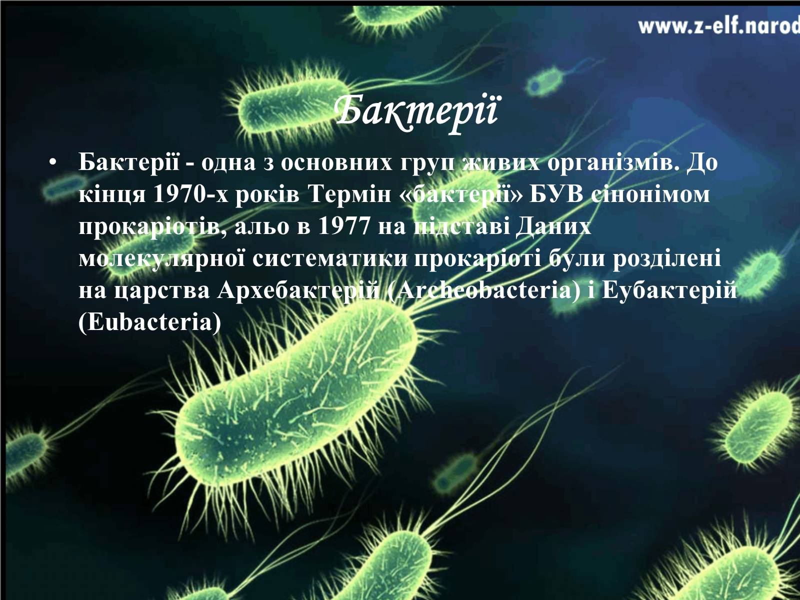 Презентація на тему «Бактерії та їх значення» - Слайд #2 Презентація на тему «Бактерії та їх значення» - Слайд #2