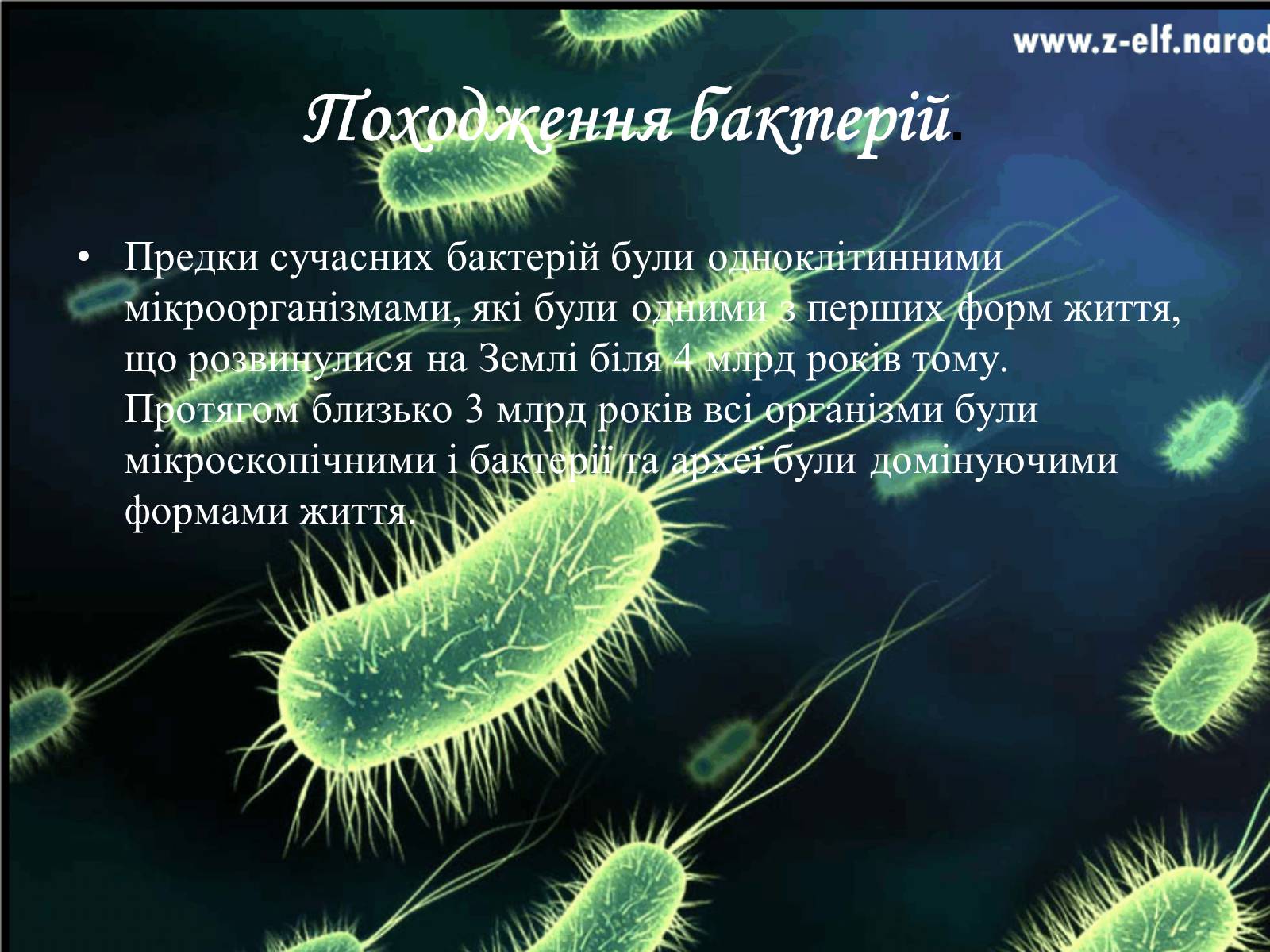 Презентація на тему «Бактерії та їх значення» - Слайд #3 Презентація на тему «Бактерії та їх значення» - Слайд #3
