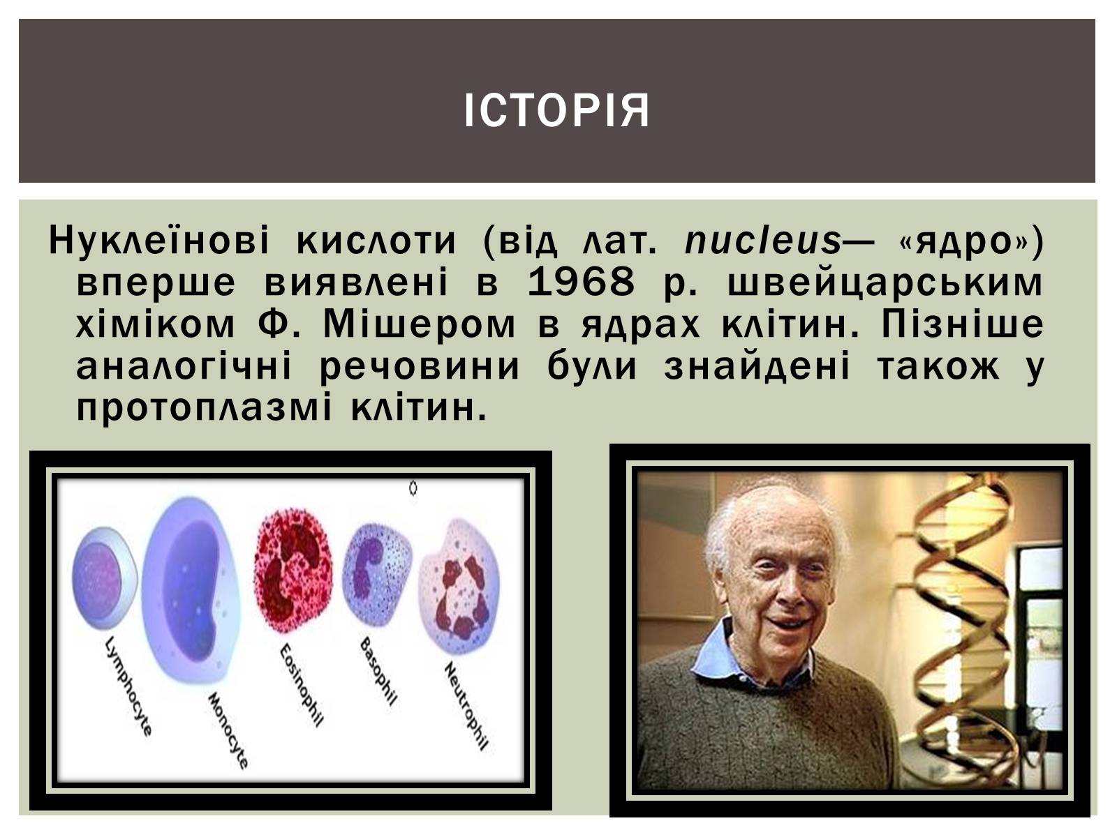 Презентація на тему «Нуклеїнові кислоти» (варіант 3) - Слайд #2 Презентація на тему «Нуклеїнові кислоти» (варіант 3) - Слайд #2