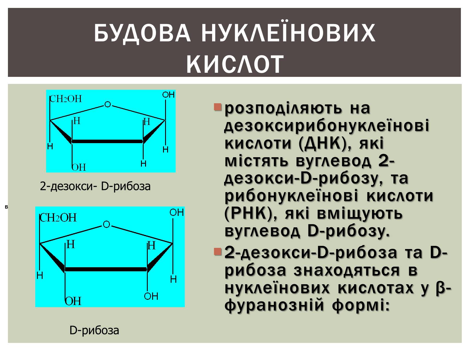 Презентація на тему «Нуклеїнові кислоти» (варіант 3) - Слайд #5 Презентація на тему «Нуклеїнові кислоти» (варіант 3) - Слайд #5