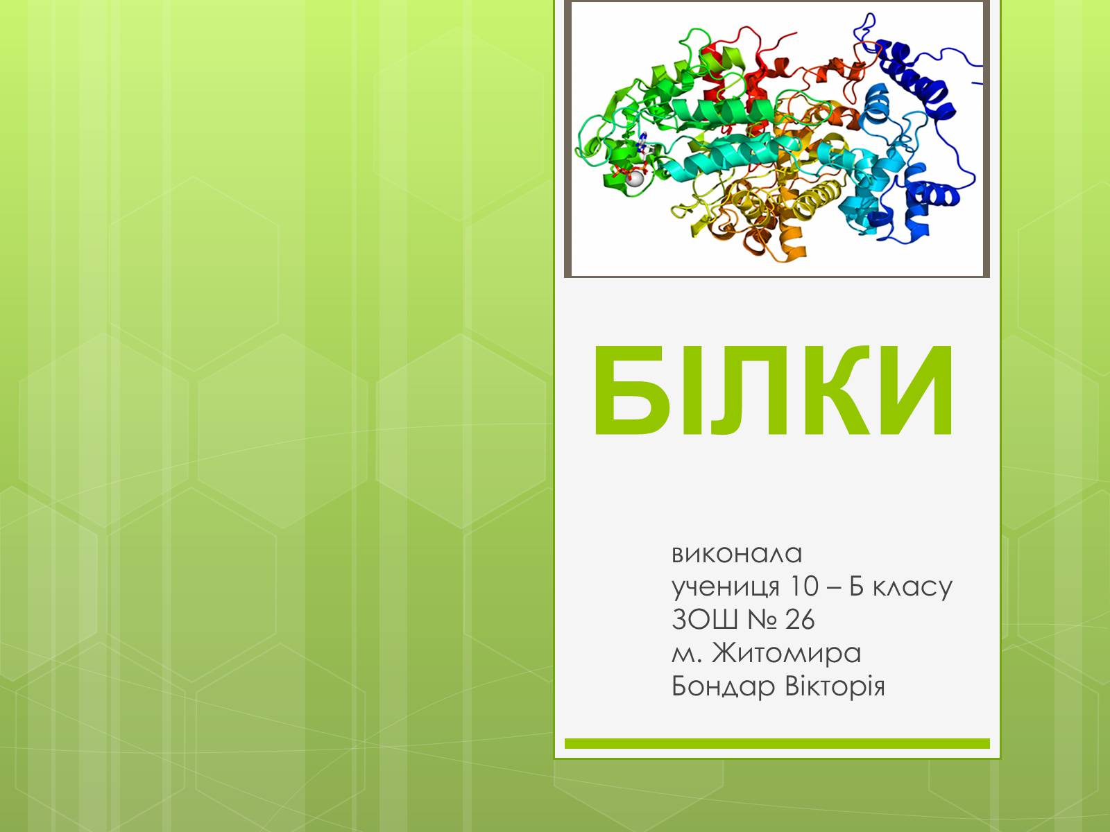 Презентація на тему «Білки» (варіант 2) - Слайд #1 Презентація на тему «Білки» (варіант 2) - Слайд #1