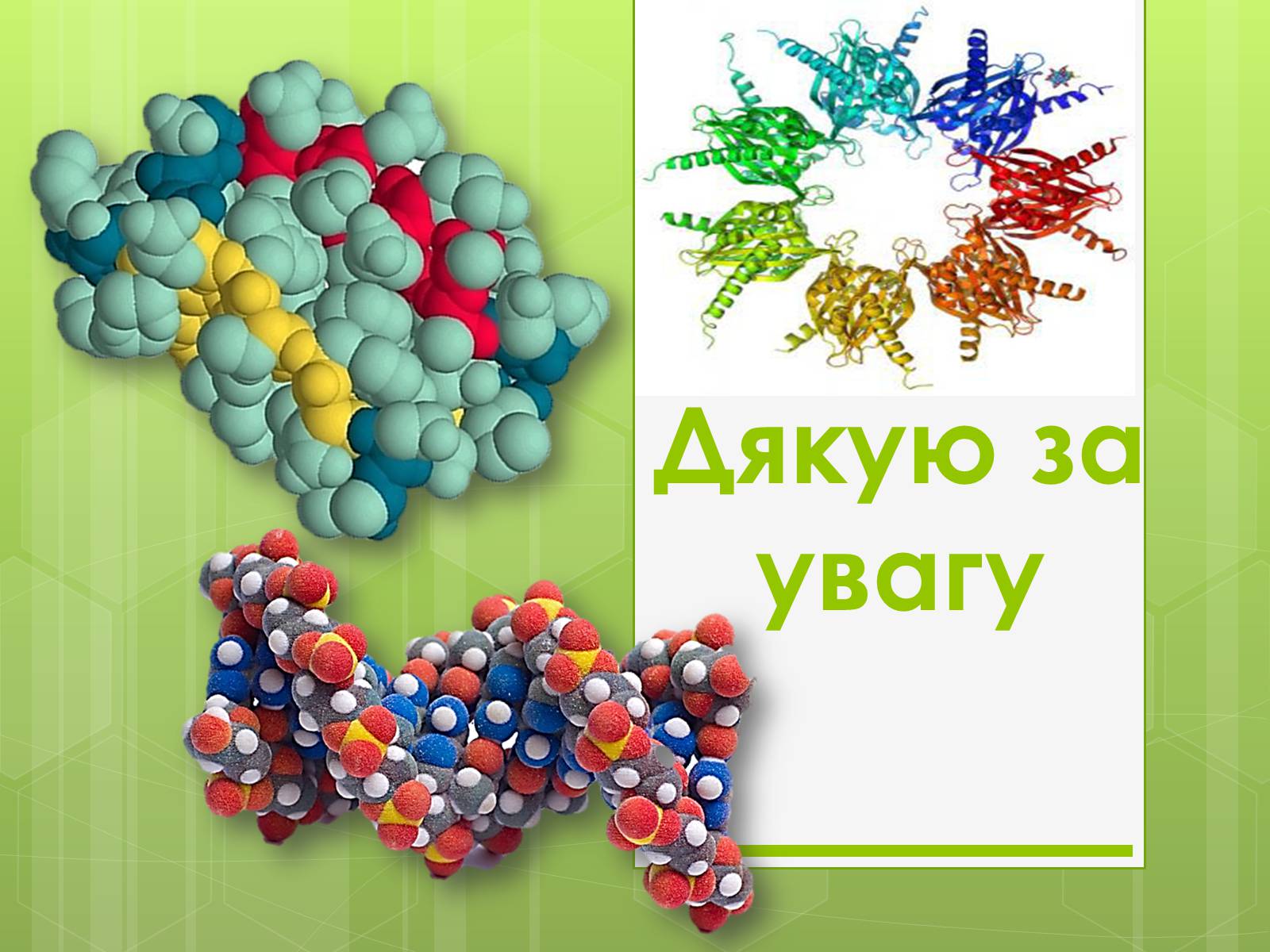 Презентація на тему «Білки» (варіант 2) - Слайд #13 Презентація на тему «Білки» (варіант 2) - Слайд #13