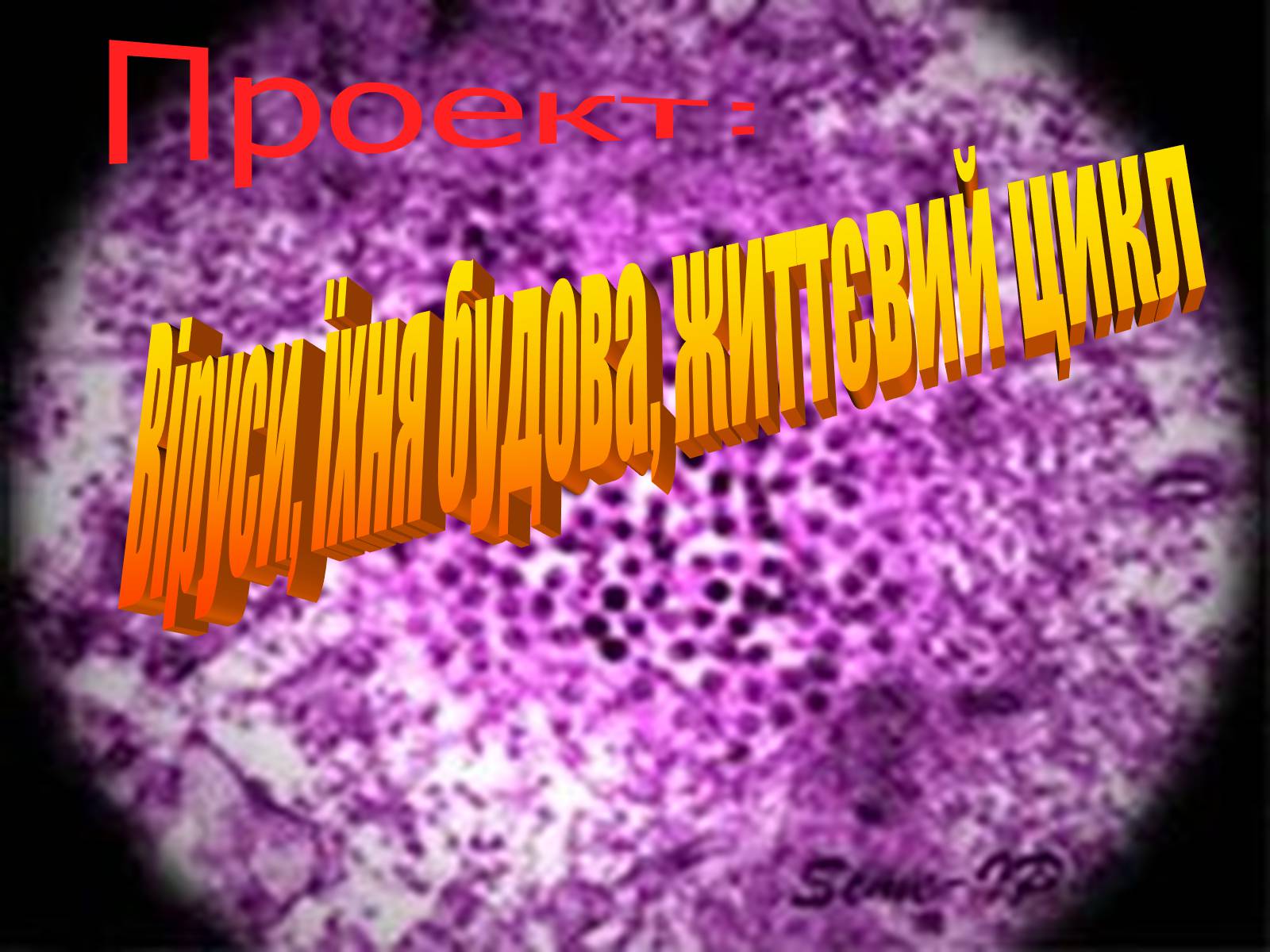 Презентація на тему «Віруси, їхня будова, життєвий цикл» (варіант 1) - Слайд #1 Презентація на тему «Віруси, їхня будова, життєвий цикл» (варіант 1) - Слайд #1