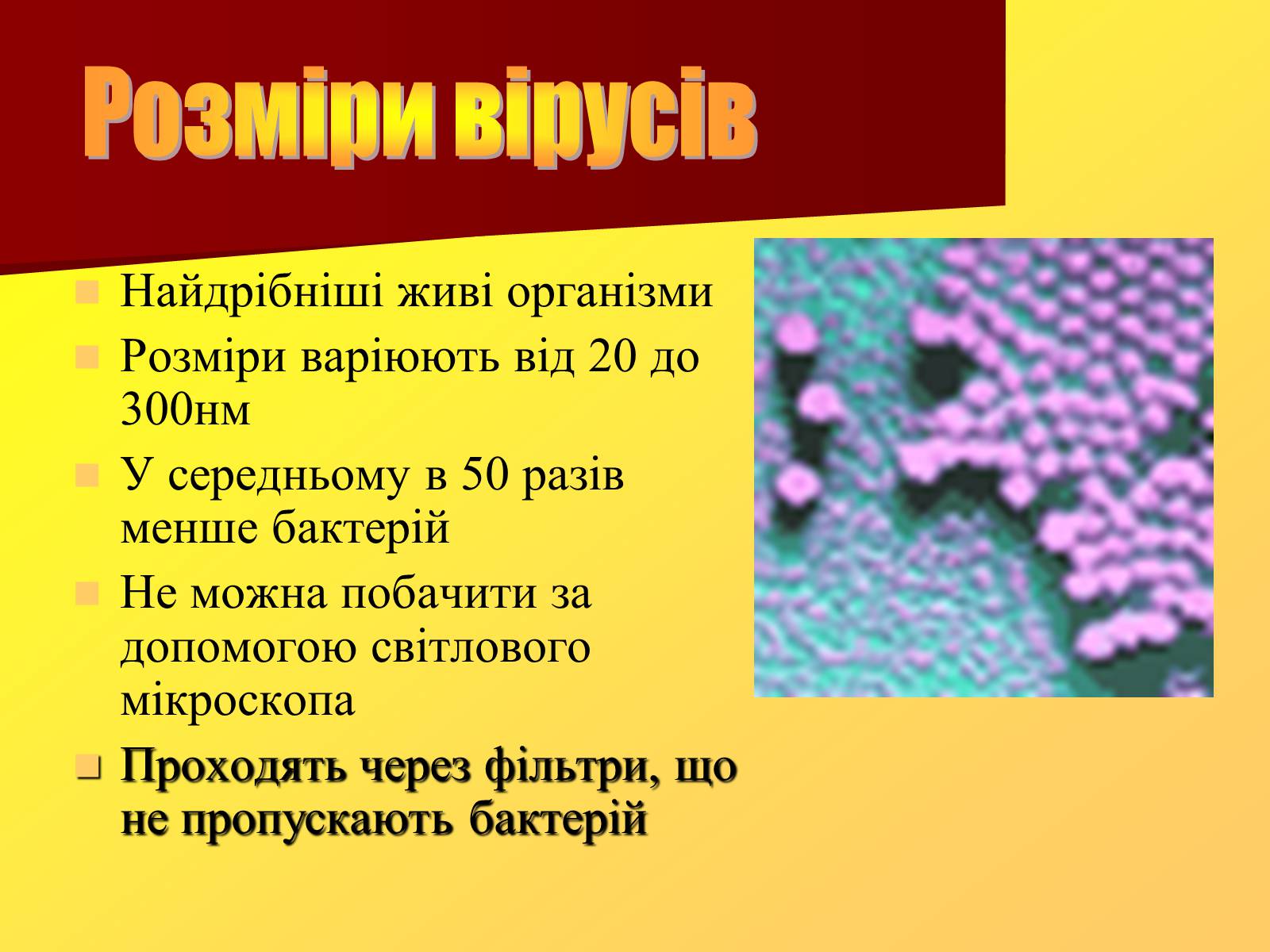 Презентація на тему «Віруси, їхня будова, життєвий цикл» (варіант 1) - Слайд #4 Презентація на тему «Віруси, їхня будова, життєвий цикл» (варіант 1) - Слайд #4
