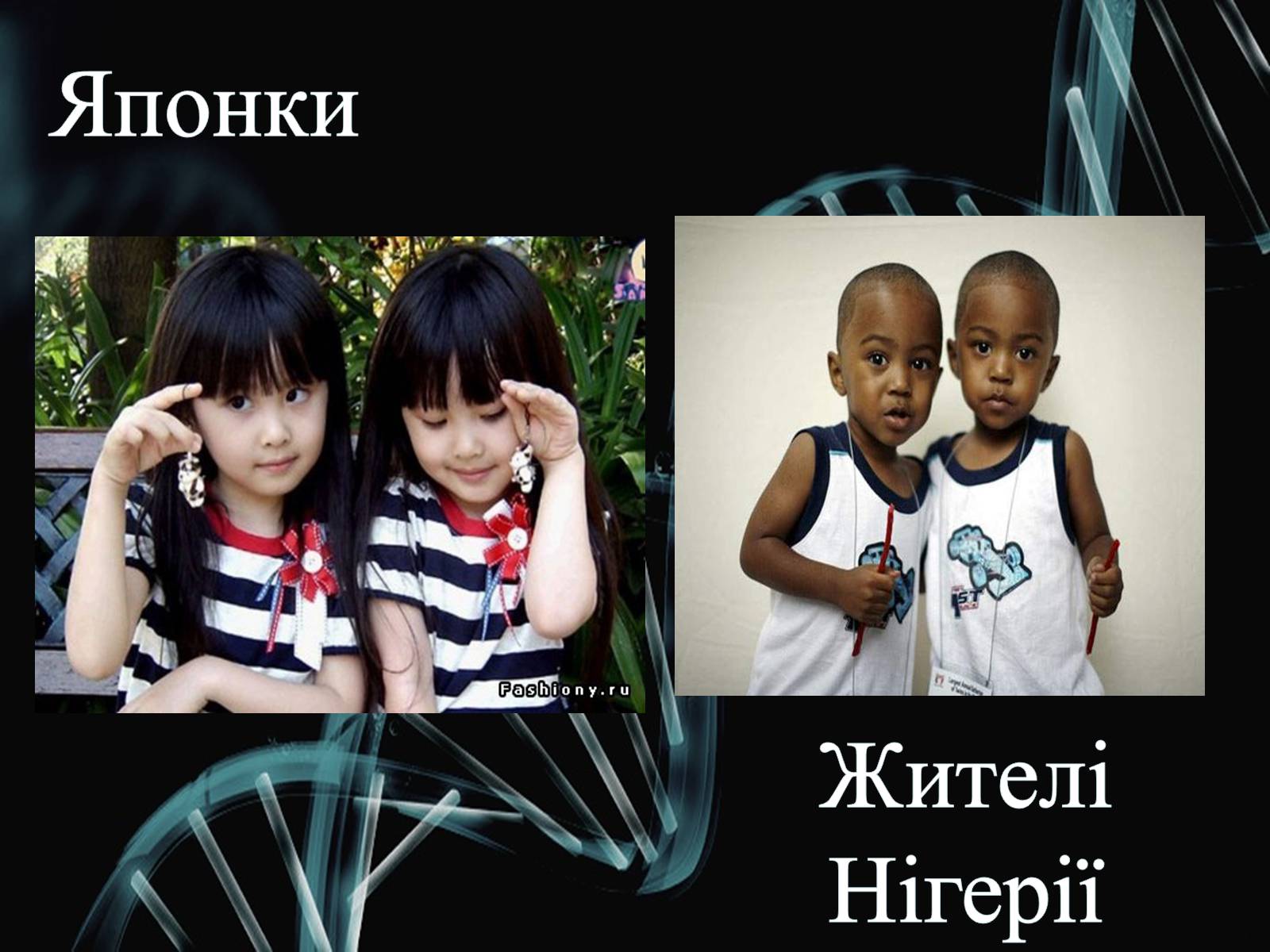 Презентація на тему «Генетика» (варіант 2) - Слайд #10 Презентація на тему «Генетика» (варіант 2) - Слайд #10