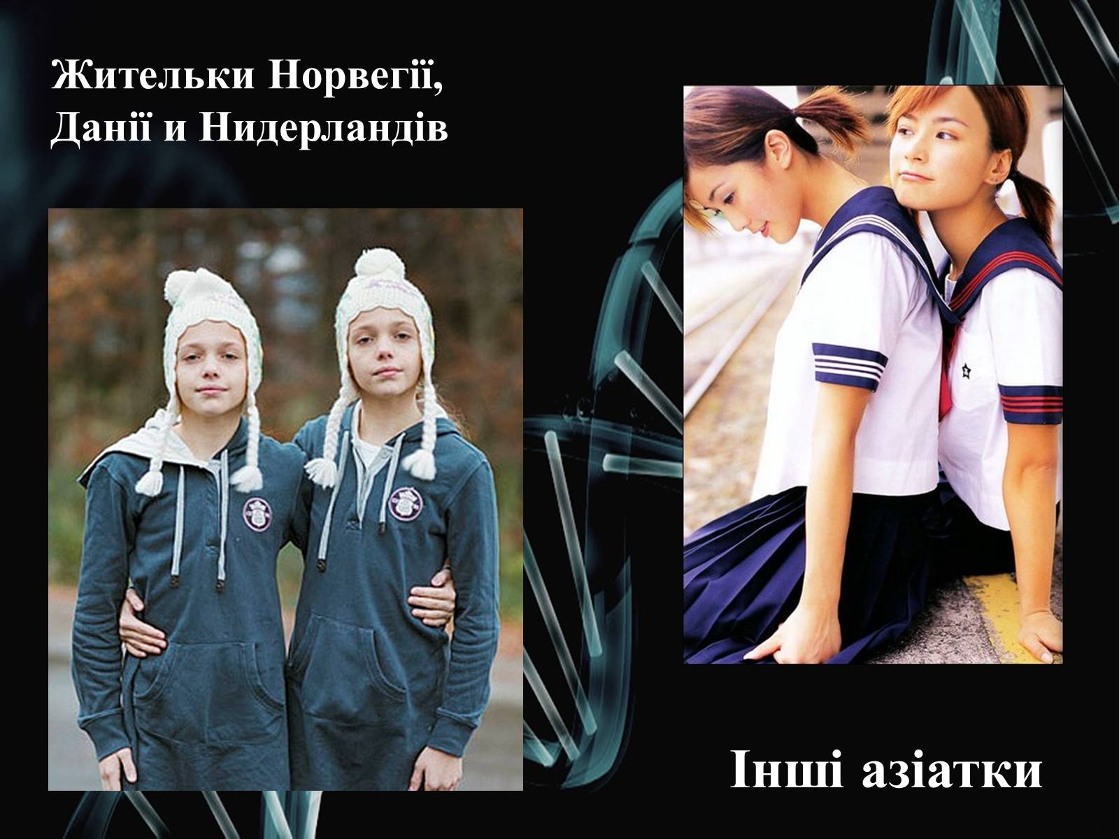 Презентація на тему «Генетика» (варіант 2) - Слайд #12 Презентація на тему «Генетика» (варіант 2) - Слайд #12