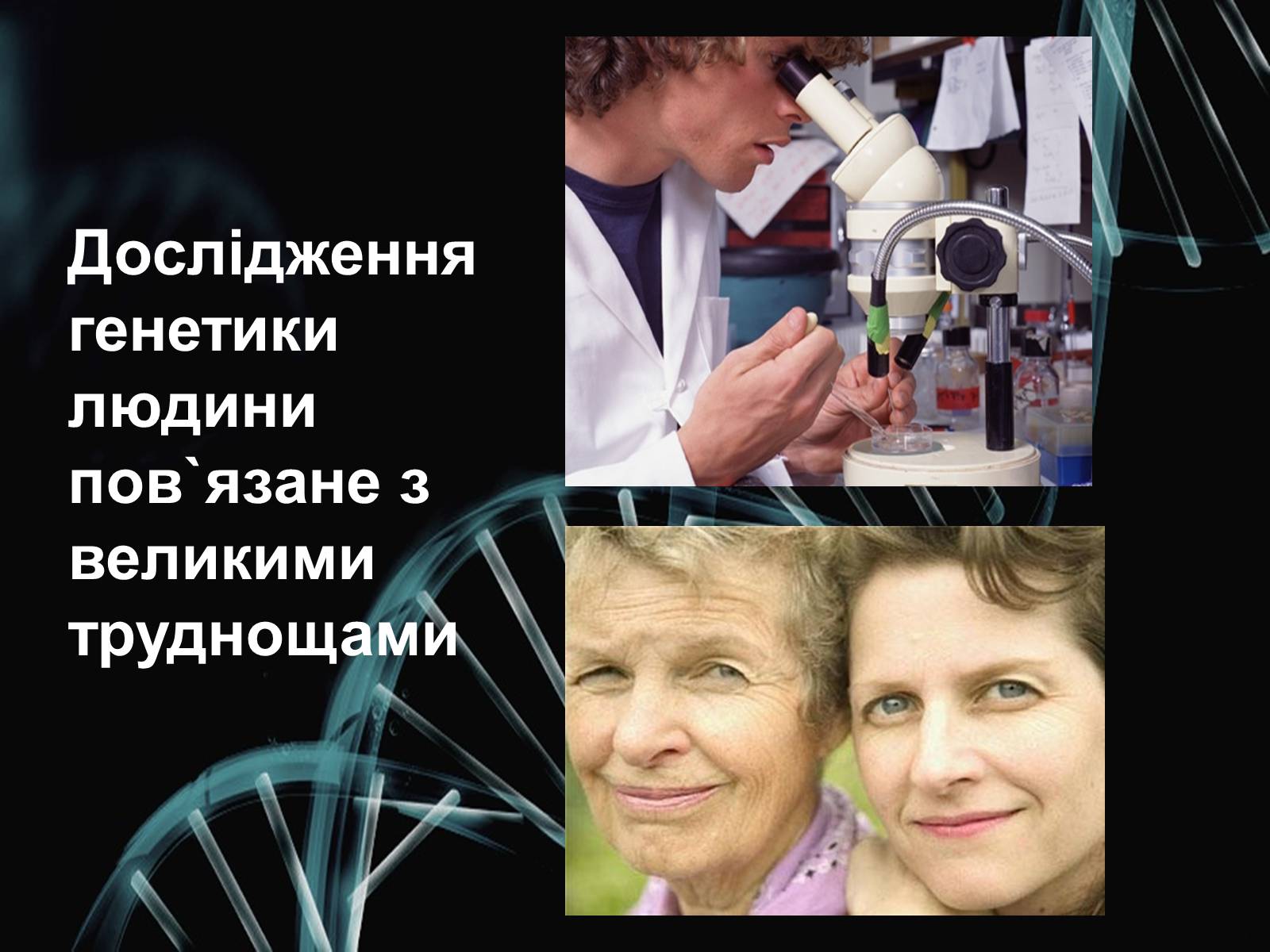 Презентація на тему «Генетика» (варіант 2) - Слайд #5 Презентація на тему «Генетика» (варіант 2) - Слайд #5