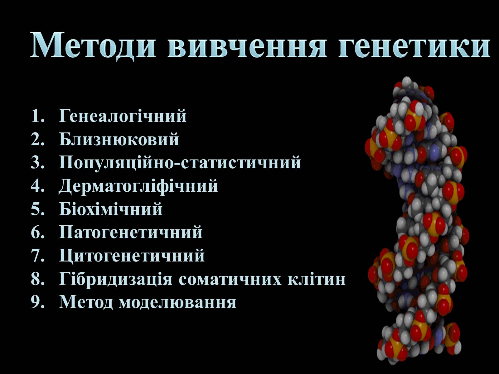 Презентація на тему «Генетика» (варіант 2) - Слайд #7 Презентація на тему «Генетика» (варіант 2) - Слайд #7
