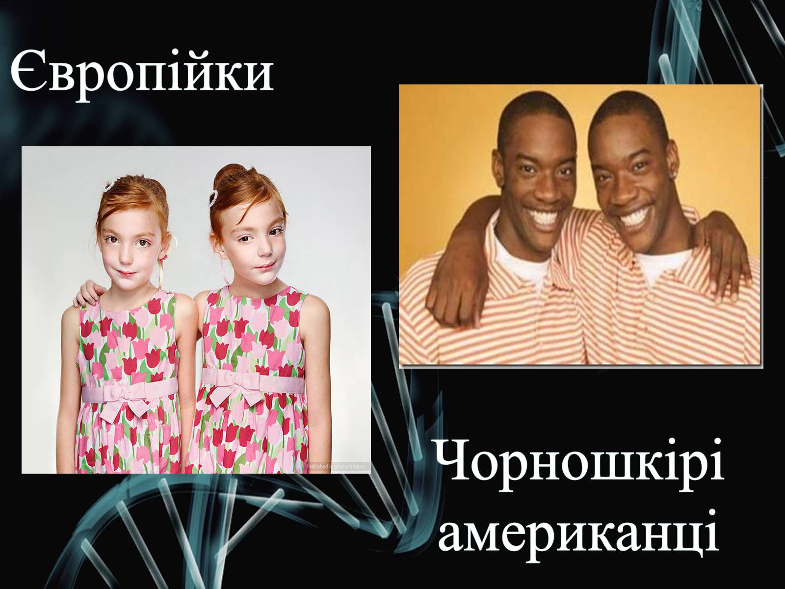 Презентація на тему «Генетика» (варіант 2) - Слайд #9 Презентація на тему «Генетика» (варіант 2) - Слайд #9