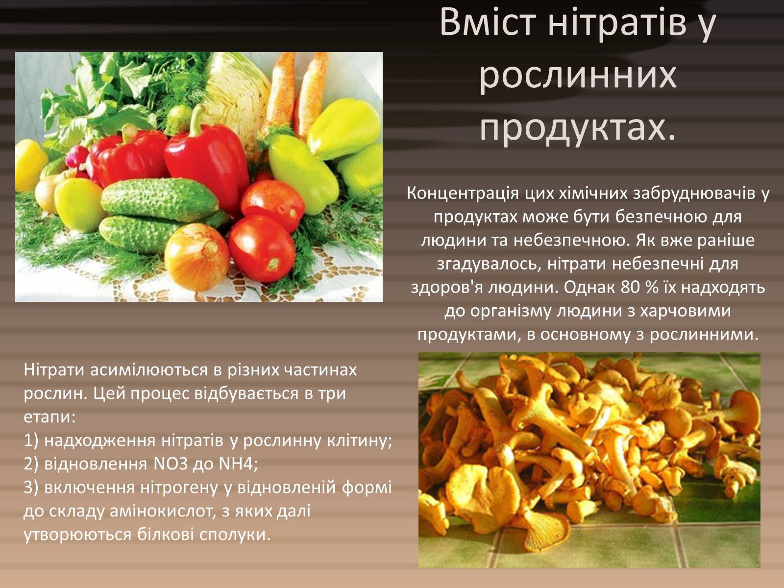 Презентація на тему «Вміст нітратів у харчових продуктах» - Слайд #4 Презентація на тему «Вміст нітратів у харчових продуктах» - Слайд #4