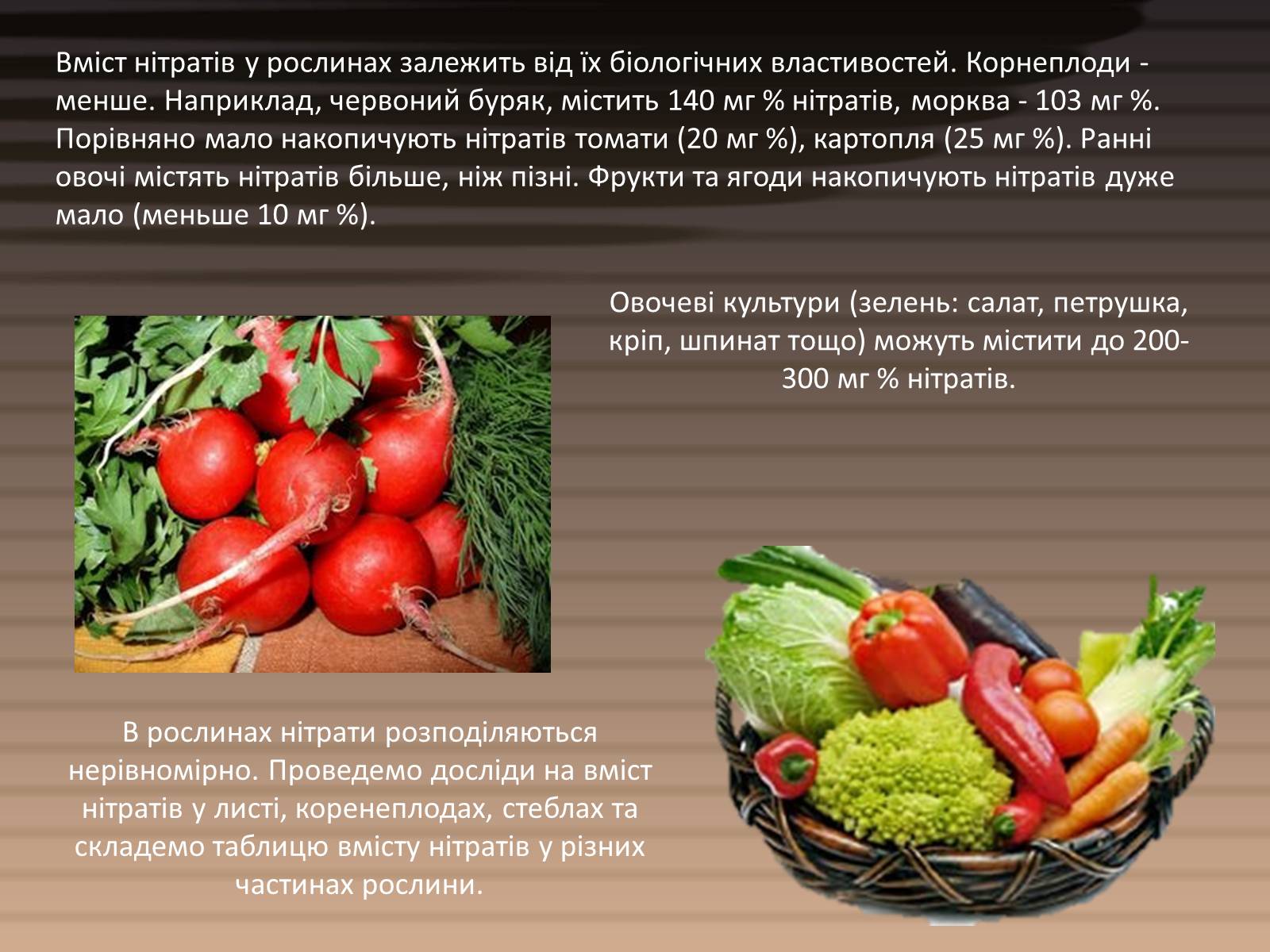 Презентація на тему «Вміст нітратів у харчових продуктах» - Слайд #5 Презентація на тему «Вміст нітратів у харчових продуктах» - Слайд #5