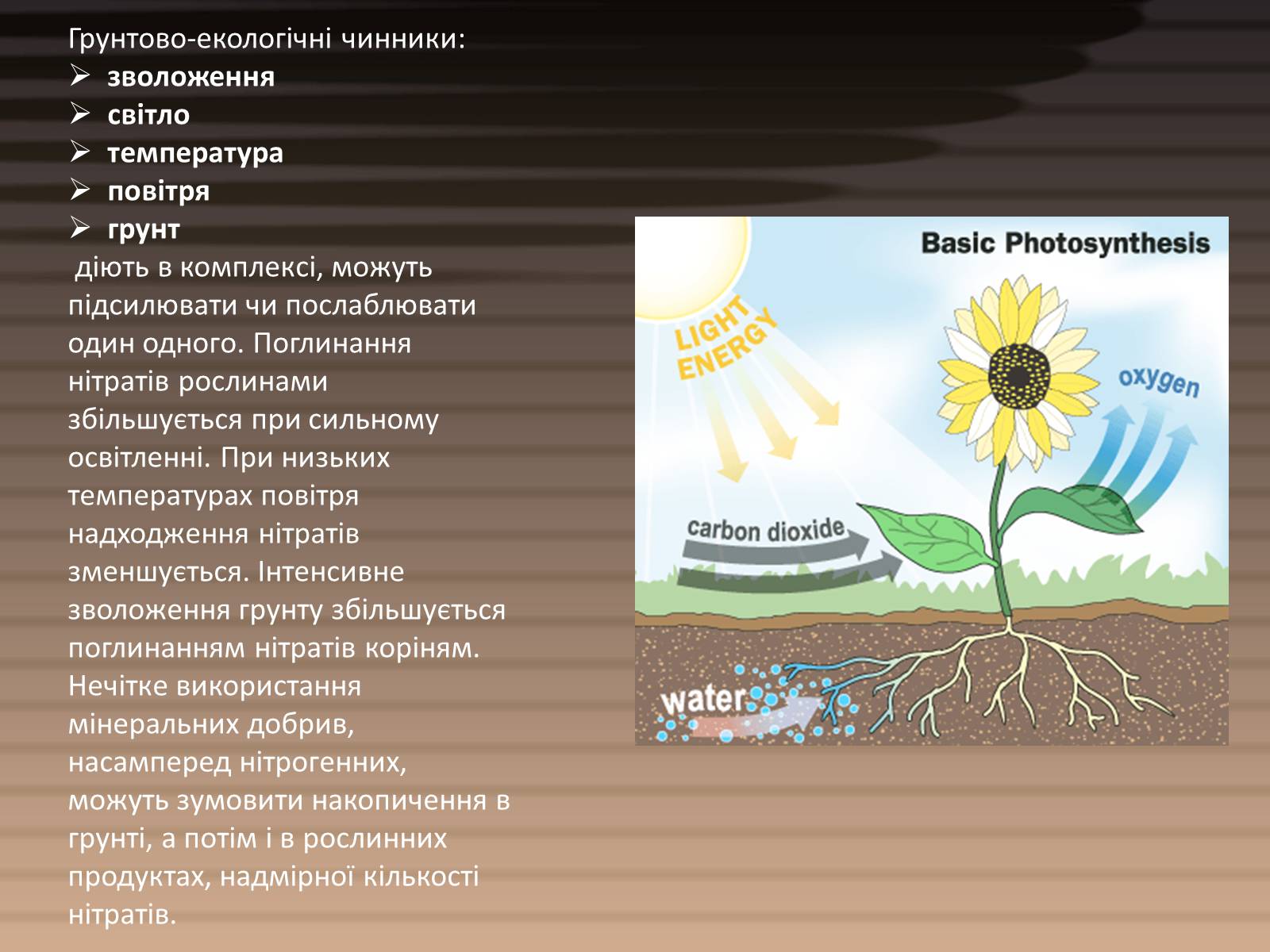 Презентація на тему «Вміст нітратів у харчових продуктах» - Слайд #6 Презентація на тему «Вміст нітратів у харчових продуктах» - Слайд #6