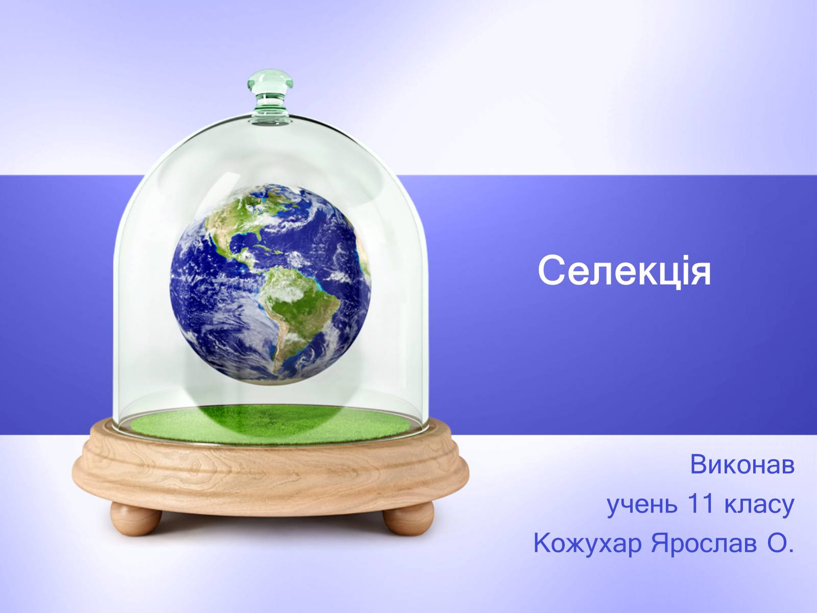 Презентація на тему «Селекція» (варіант 6) - Слайд #1 Презентація на тему «Селекція» (варіант 6) - Слайд #1