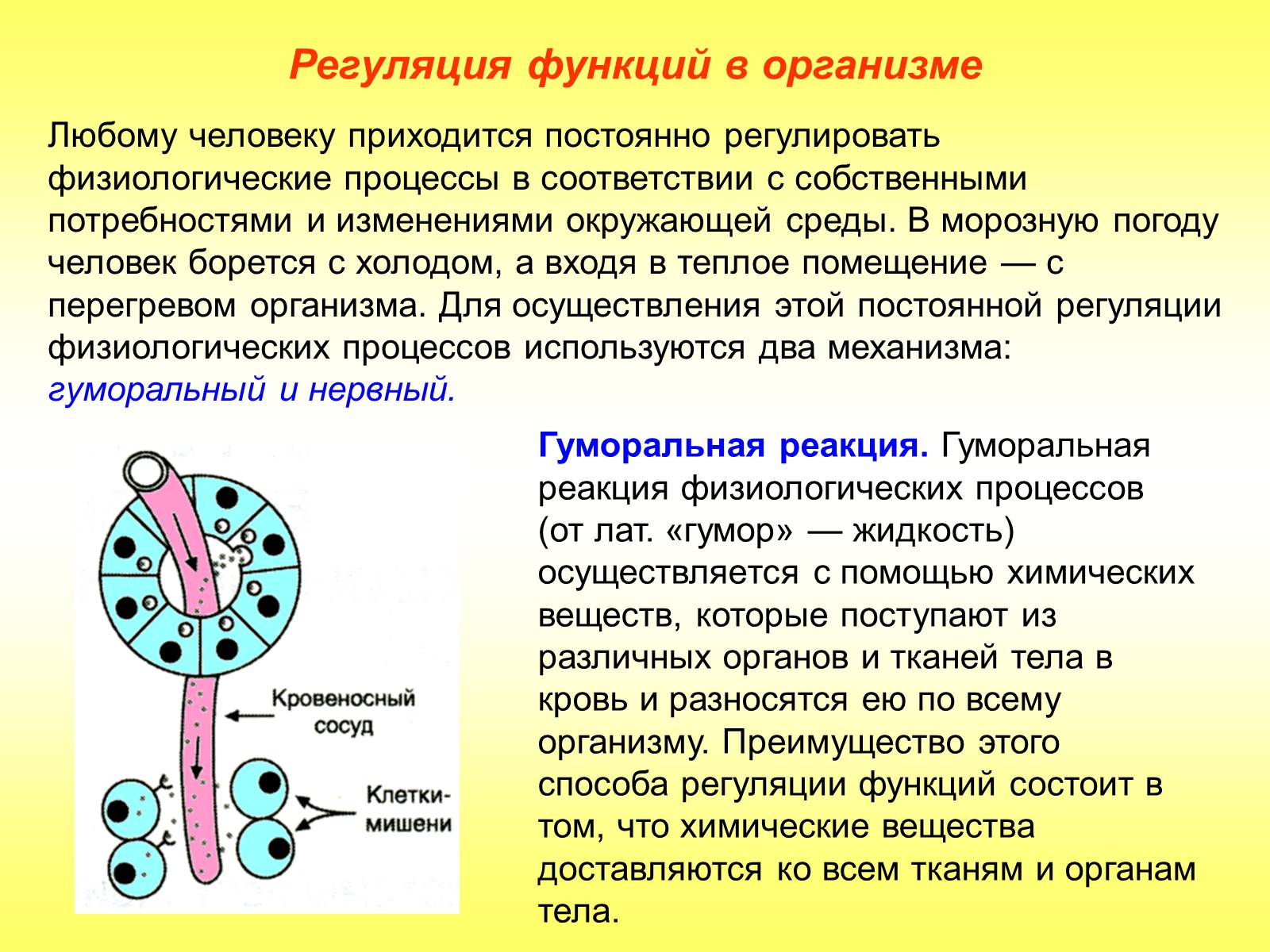 Презентація на тему «Регуляция функций. Строение нервной системы» - Слайд #2 Презентація на тему «Регуляция функций. Строение нервной системы» - Слайд #2