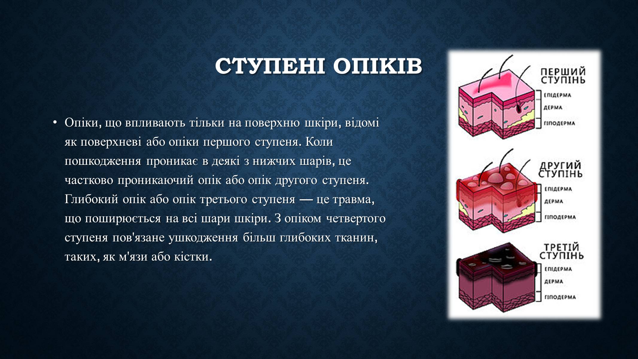 Презентація на тему «Опіки та отруєння організму людини» - Слайд #8 Презентація на тему «Опіки та отруєння організму людини» - Слайд #8