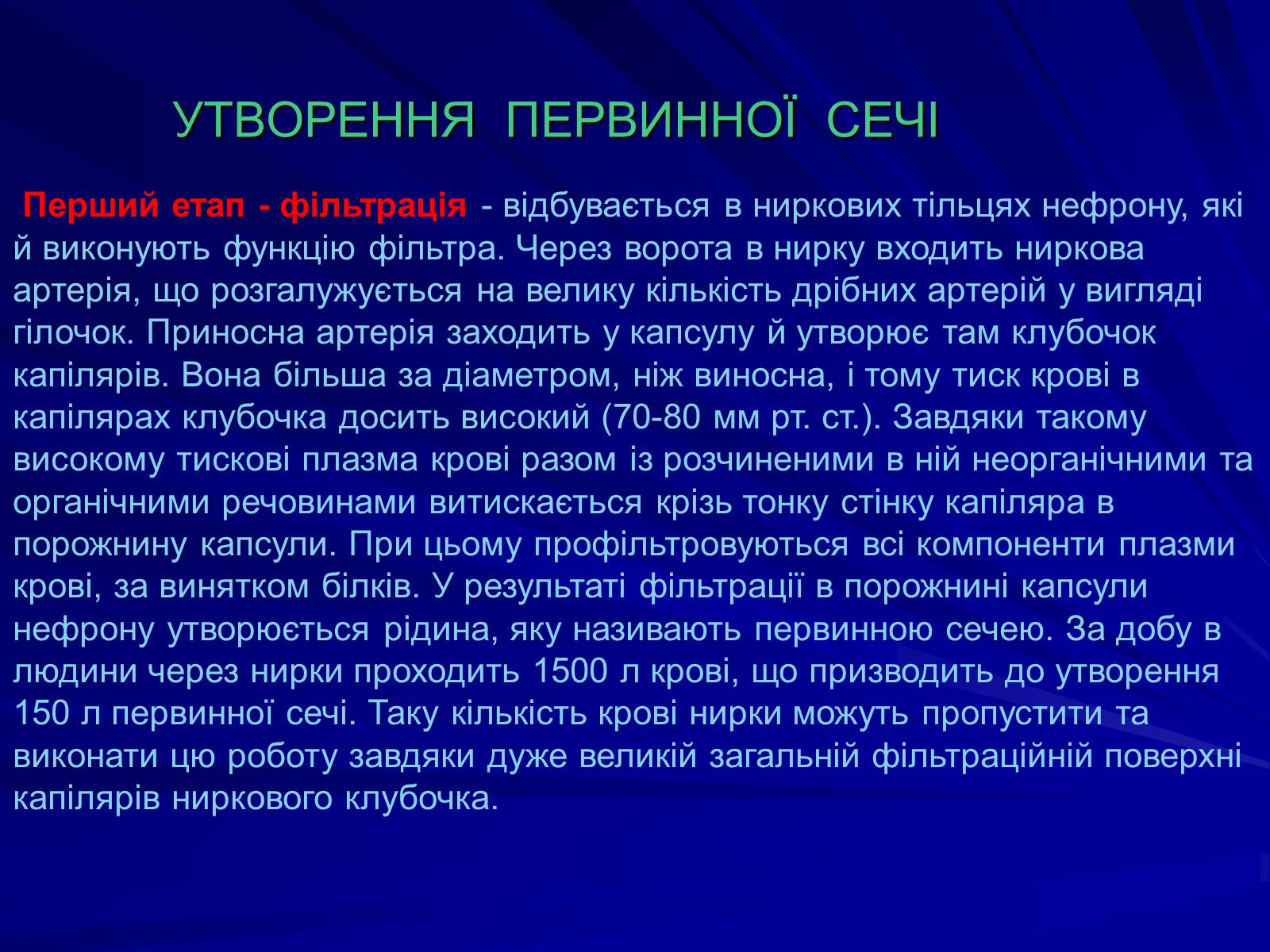 Презентація на тему «Будова видільної системи» - Слайд #5 Презентація на тему «Будова видільної системи» - Слайд #5