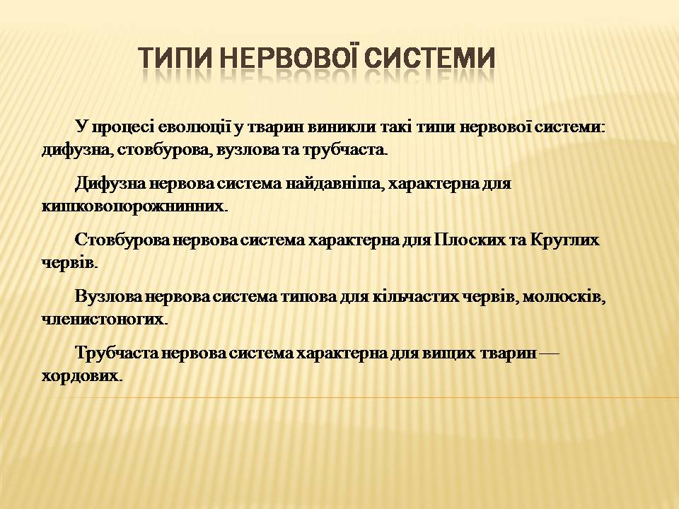 Презентація на тему «Нервова регуляція» (варіант 2) - Слайд #3 Презентація на тему «Нервова регуляція» (варіант 2) - Слайд #3