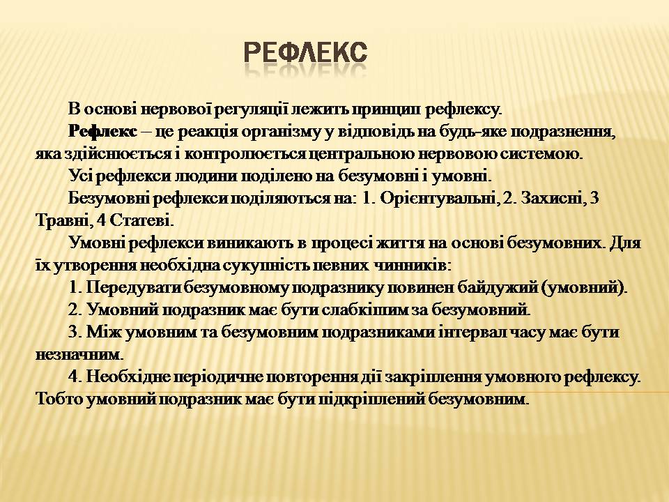 Презентація на тему «Нервова регуляція» (варіант 2) - Слайд #5 Презентація на тему «Нервова регуляція» (варіант 2) - Слайд #5