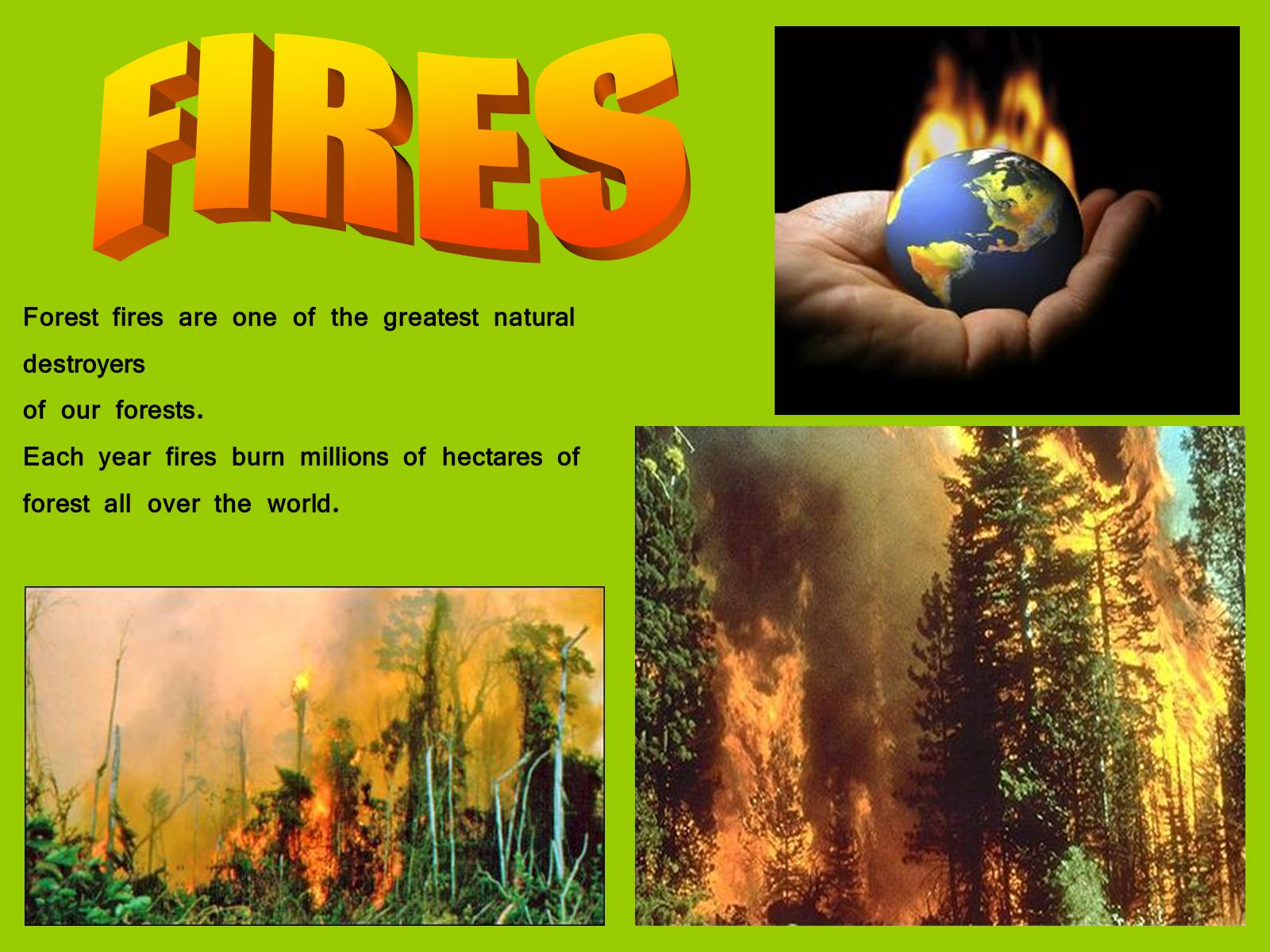 Презентація на тему «Environmental Protection» (варіант 1) - Слайд #9 Презентація на тему «Environmental Protection» (варіант 1) - Слайд #9