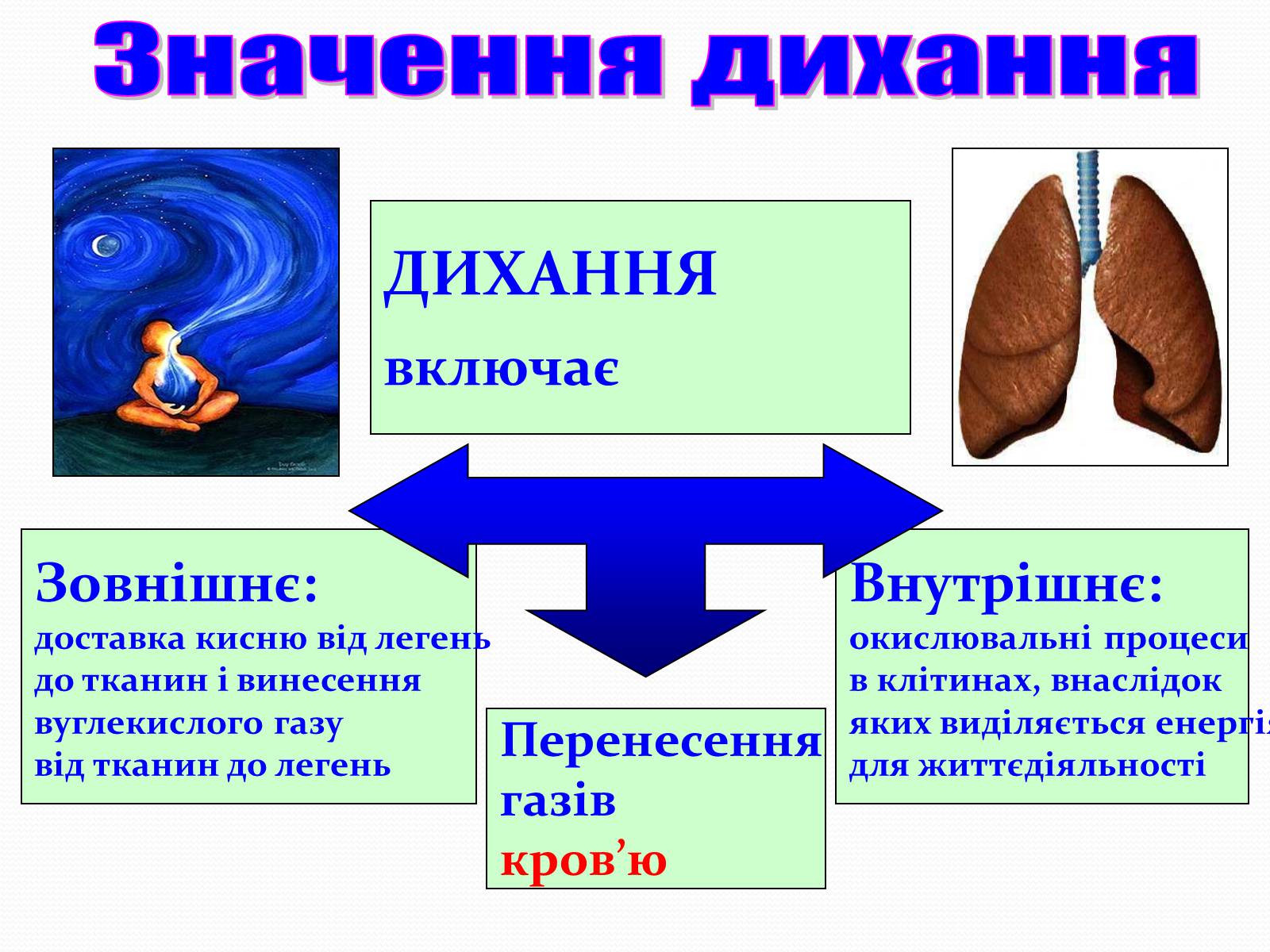 Презентація на тему «Дихання» (варіант 2) - Слайд #3 Презентація на тему «Дихання» (варіант 2) - Слайд #3