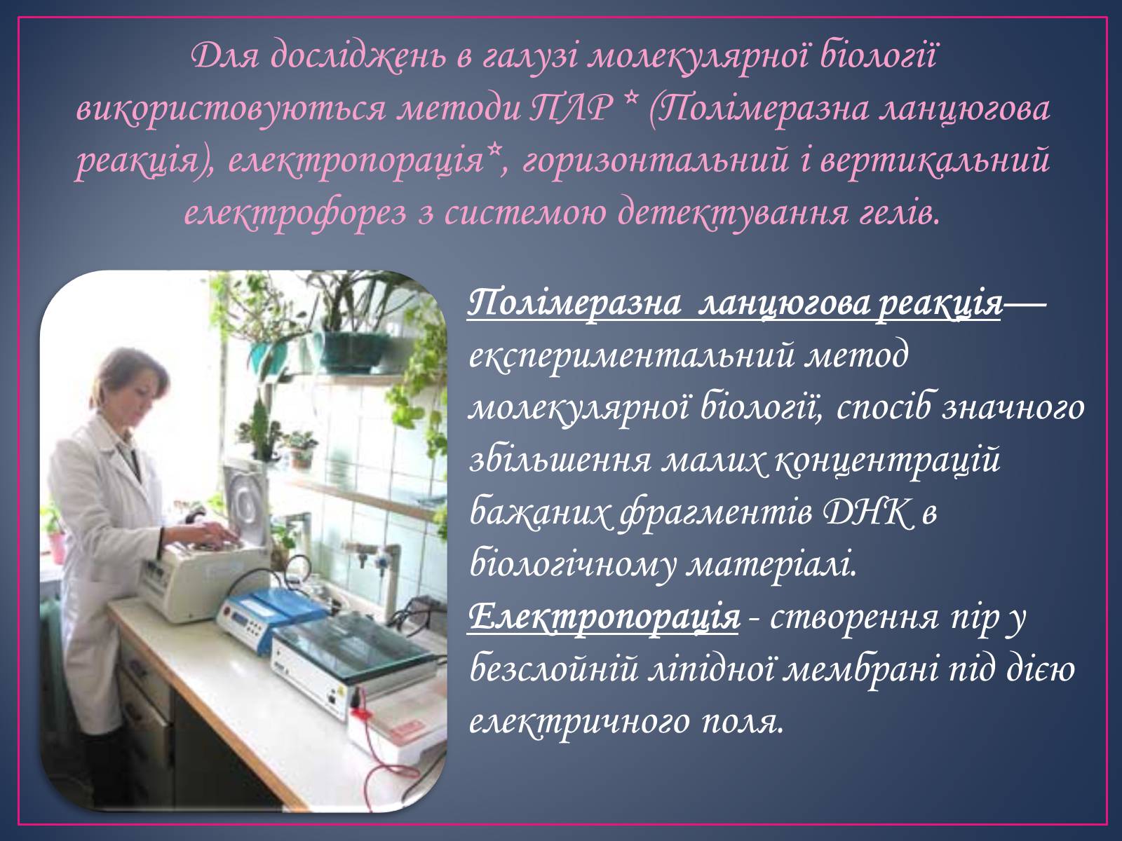Презентація на тему «Сучасні цитотехнології» - Слайд #7 Презентація на тему «Сучасні цитотехнології» - Слайд #7