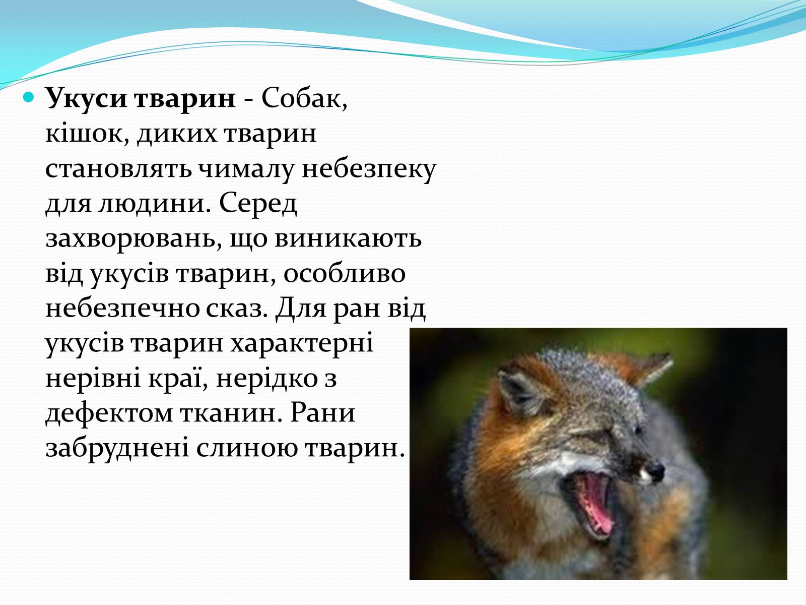 Презентація на тему «Укуси комах» - Слайд #12 Презентація на тему «Укуси комах» - Слайд #12