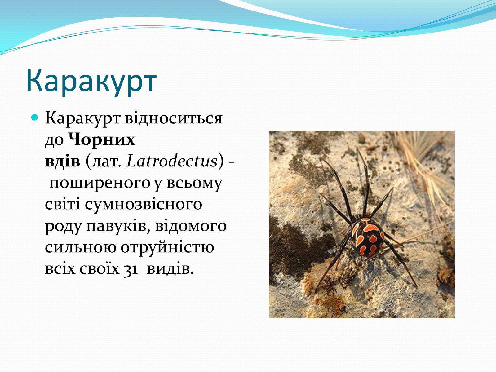 Презентація на тему «Укуси комах» - Слайд #8 Презентація на тему «Укуси комах» - Слайд #8