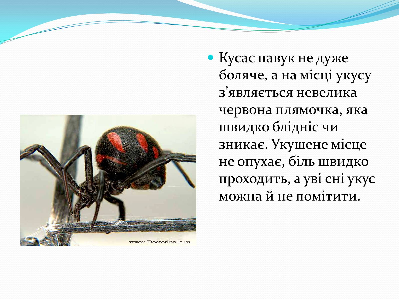 Презентація на тему «Укуси комах» - Слайд #9 Презентація на тему «Укуси комах» - Слайд #9