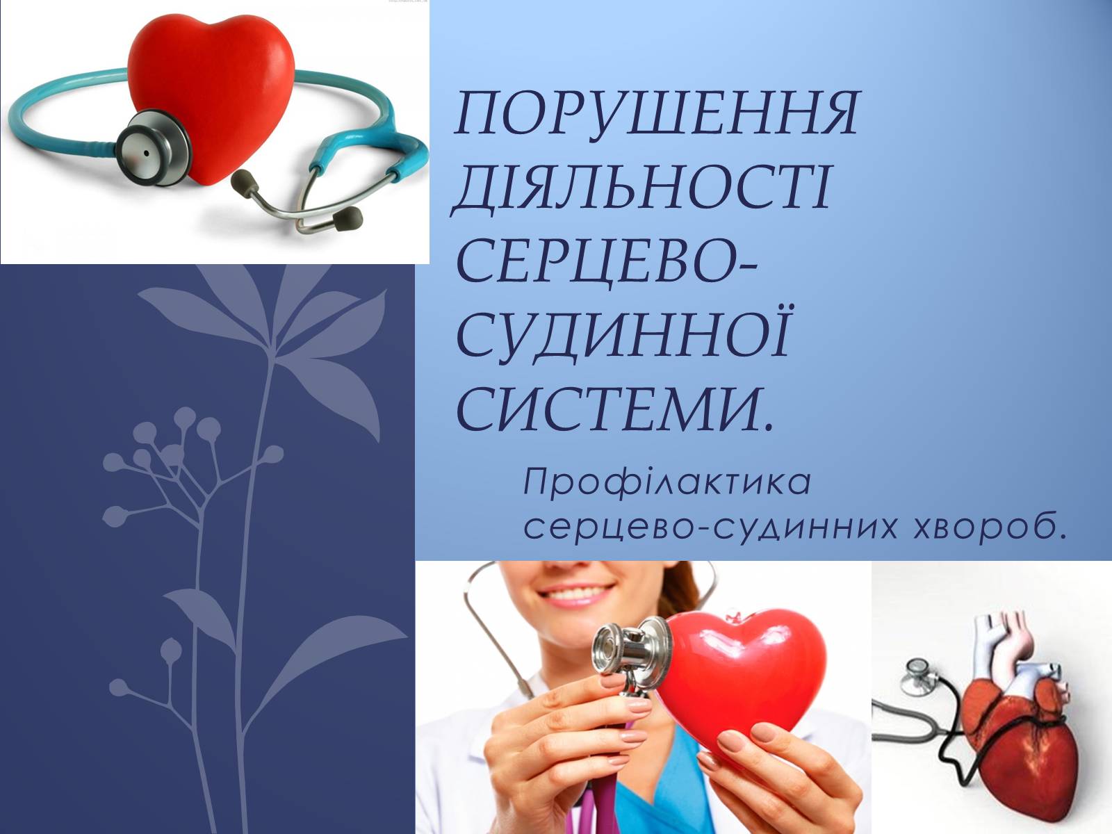 Презентація на тему «Порушення діяльності серцево-судинної системи» - Слайд #1 Презентація на тему «Порушення діяльності серцево-судинної системи» - Слайд #1