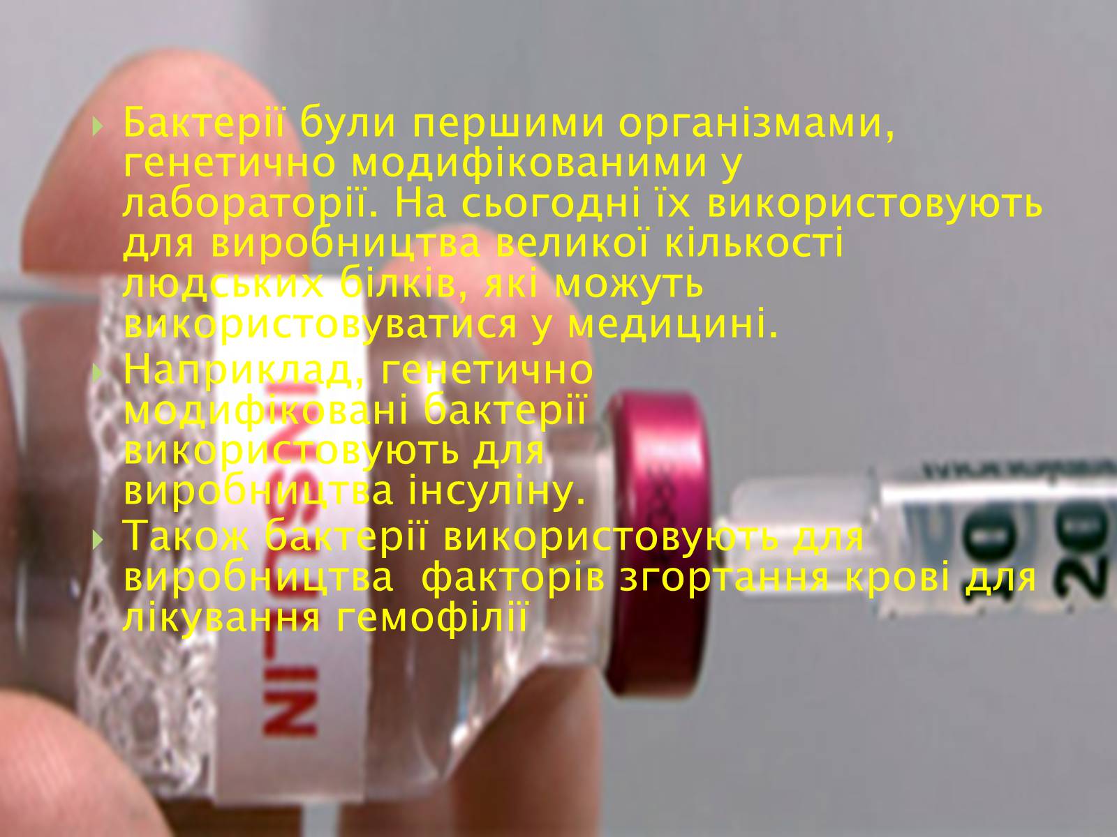 Презентація на тему «Трансгенні та химерні організми» (варіант 3) - Слайд #11 Презентація на тему «Трансгенні та химерні організми» (варіант 3) - Слайд #11