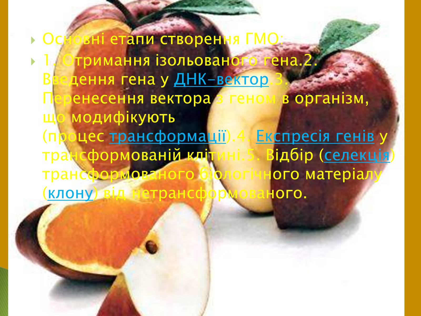 Презентація на тему «Трансгенні та химерні організми» (варіант 3) - Слайд #12 Презентація на тему «Трансгенні та химерні організми» (варіант 3) - Слайд #12