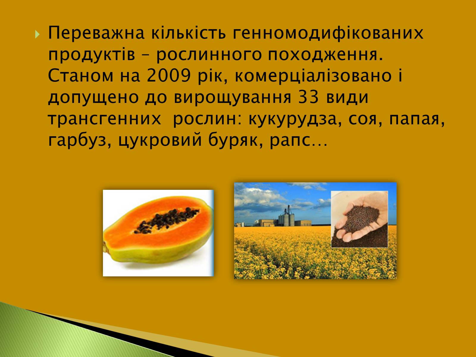 Презентація на тему «Трансгенні та химерні організми» (варіант 3) - Слайд #15 Презентація на тему «Трансгенні та химерні організми» (варіант 3) - Слайд #15