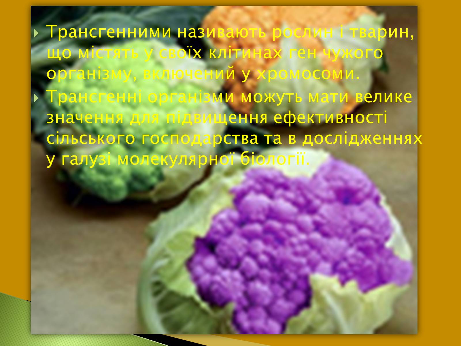 Презентація на тему «Трансгенні та химерні організми» (варіант 3) - Слайд #2 Презентація на тему «Трансгенні та химерні організми» (варіант 3) - Слайд #2