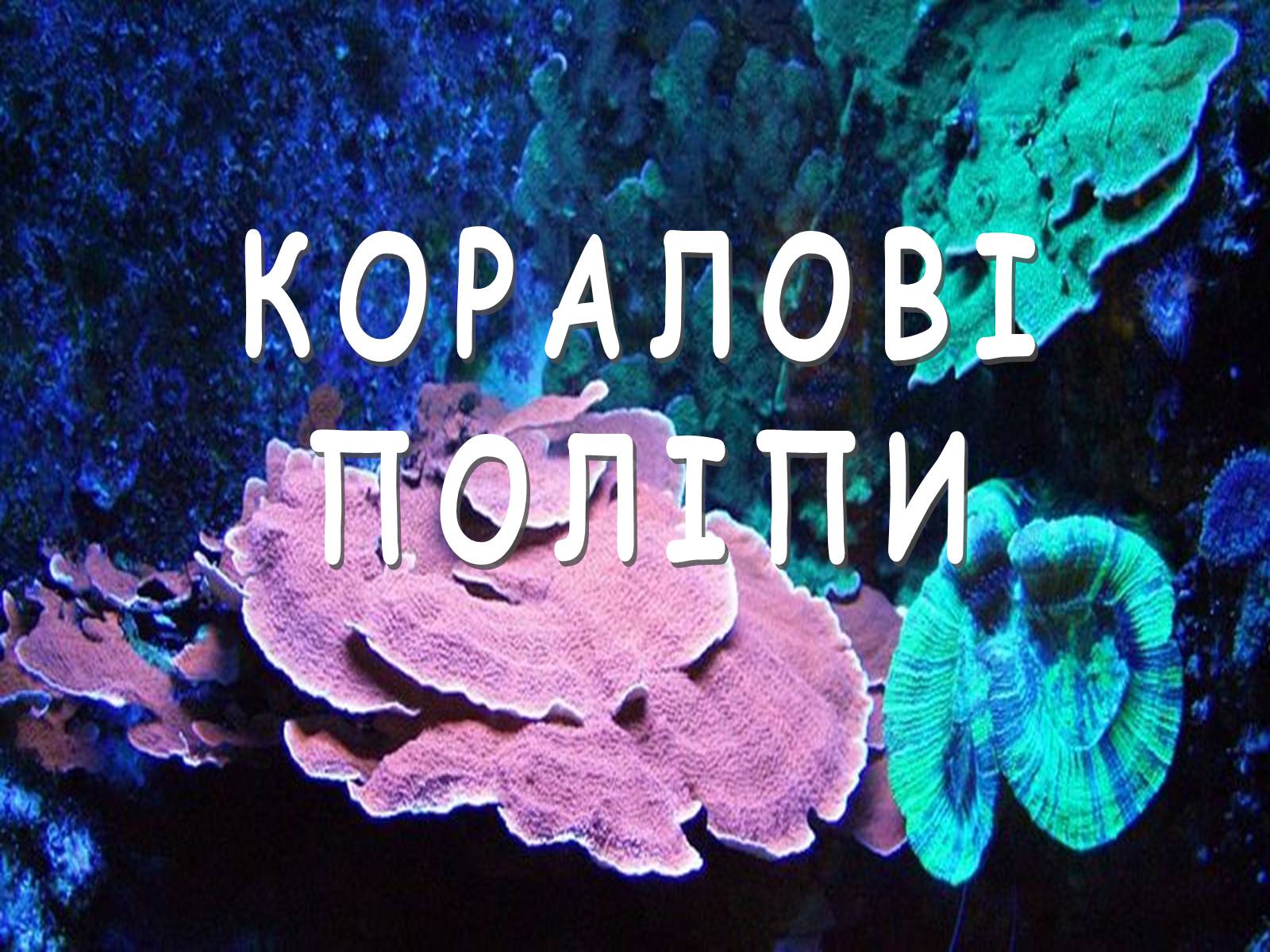 Презентація на тему «Коралові поліпи» - Слайд #1 Презентація на тему «Коралові поліпи» - Слайд #1